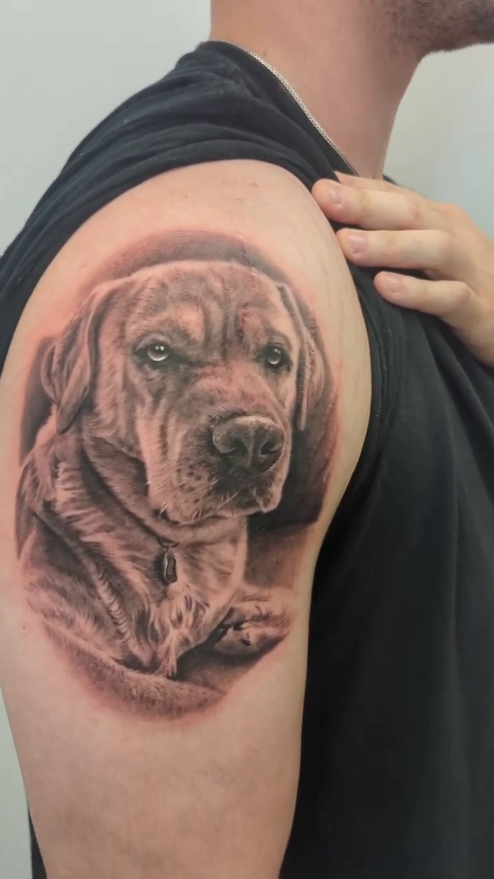 Dog portrait realism tattoo by Sean Costello