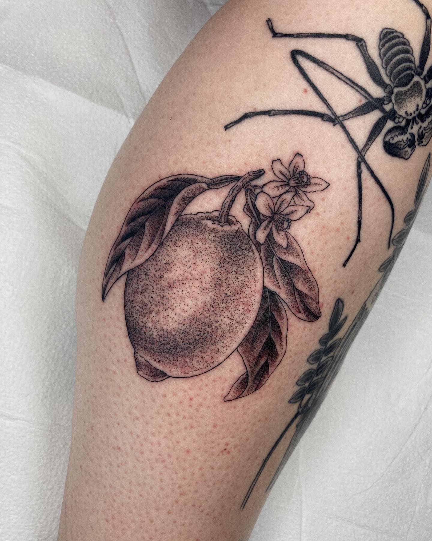 Peach and spider dotwork tattoo on the forearm by Finley Jordan