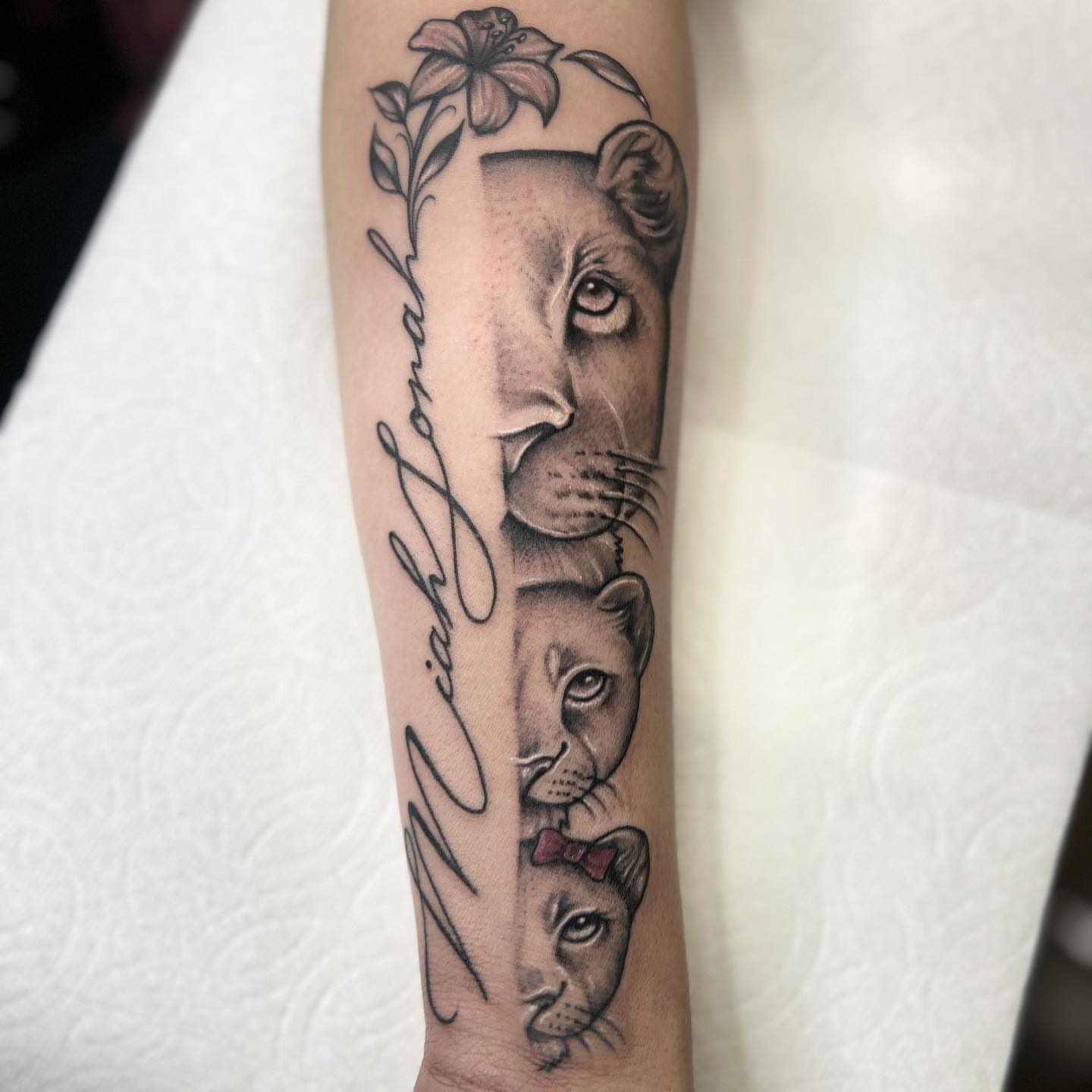 Lion family realism tattoo on the forearm by Summer Rain