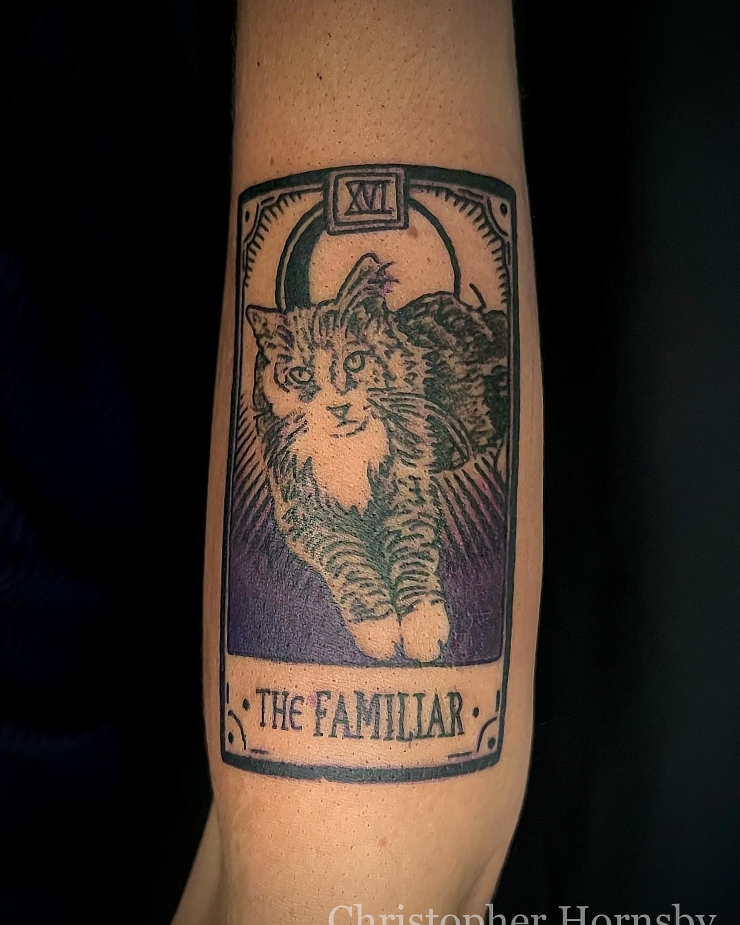 Cat black and grey tattoo on the forearm by Chris Hornsby