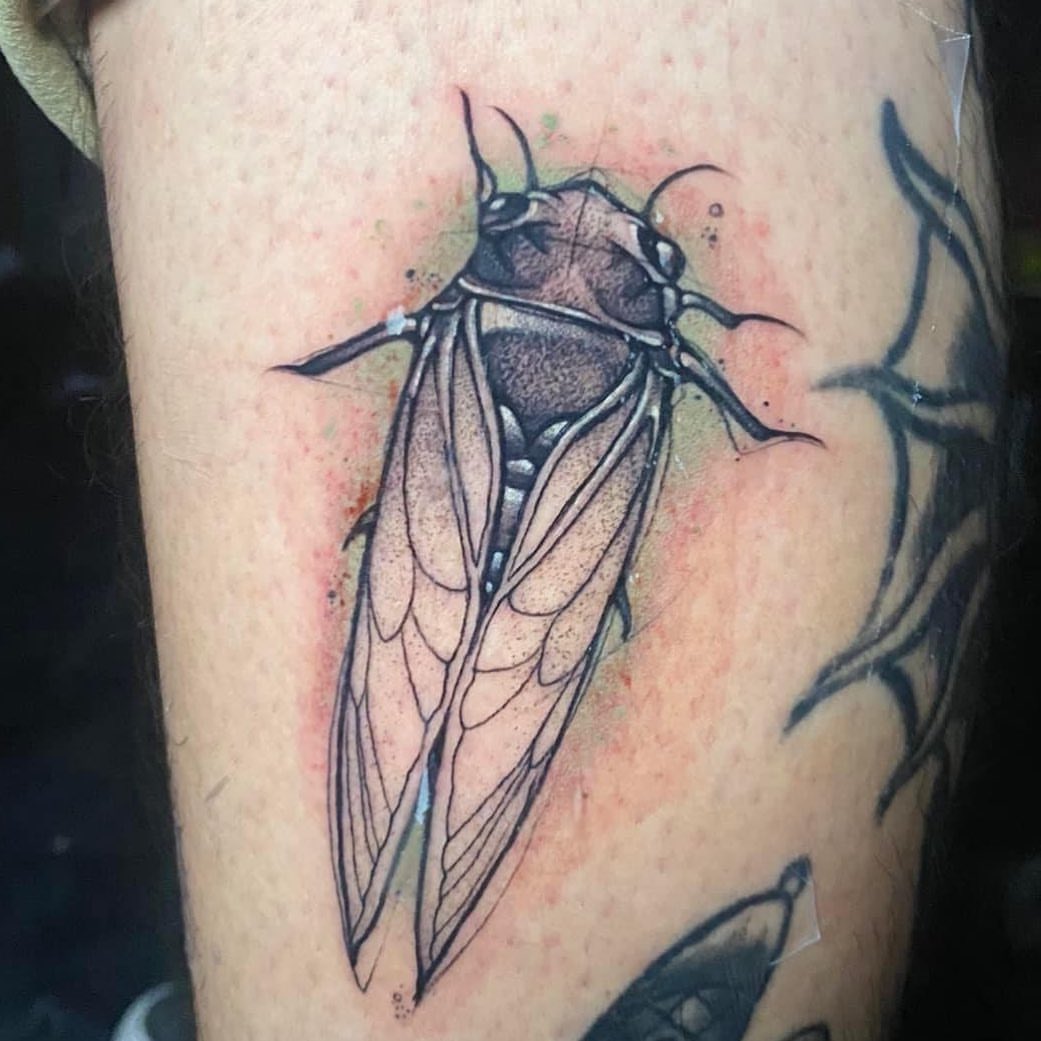 Cicada realism tattoo on the forearm by Angel Rodriguez