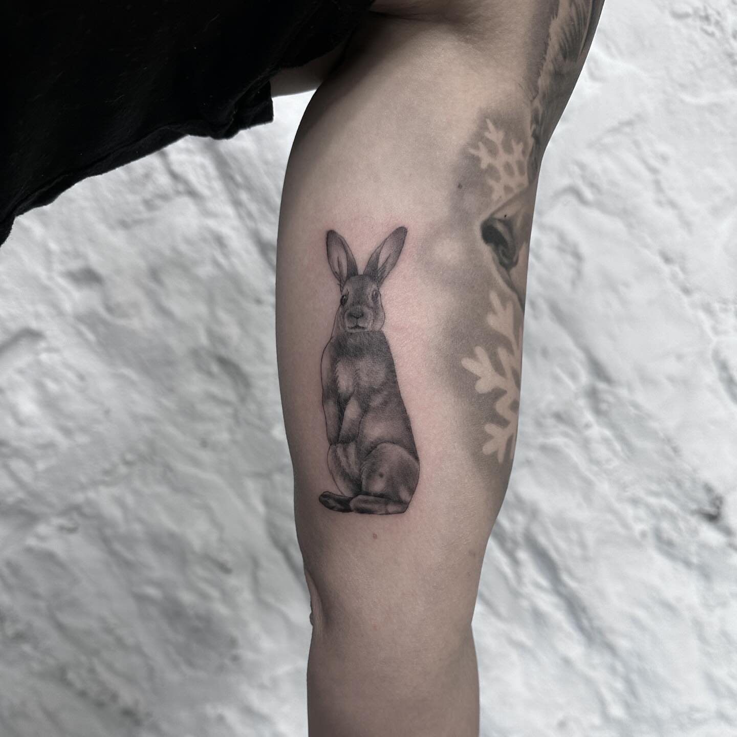 Rabbit black and grey tattoo on the forearm by Blake Owens, Nashville, Tennessee