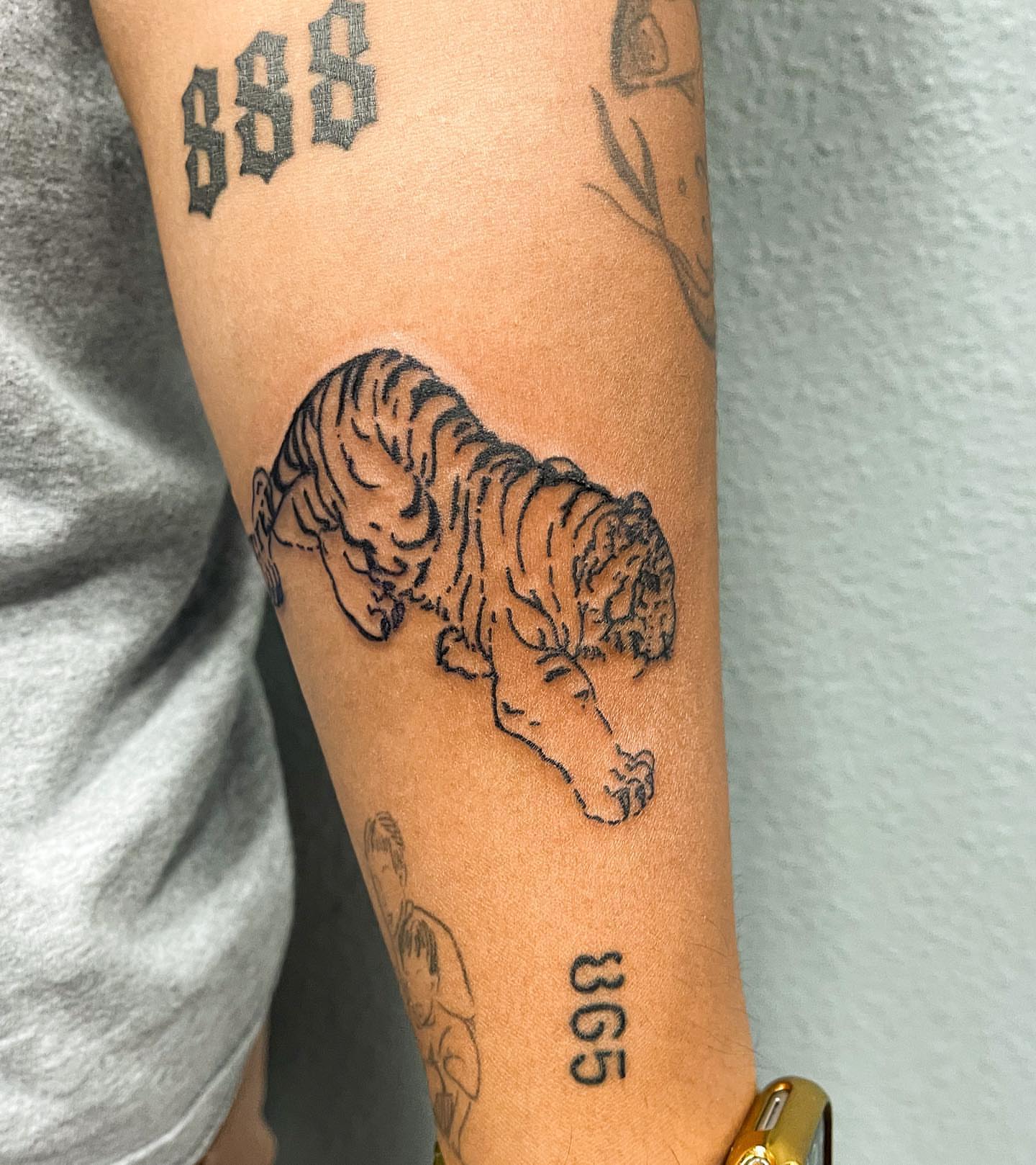 Sleeping tiger black and grey tattoo on the forearm by Portland Tattoo Artist