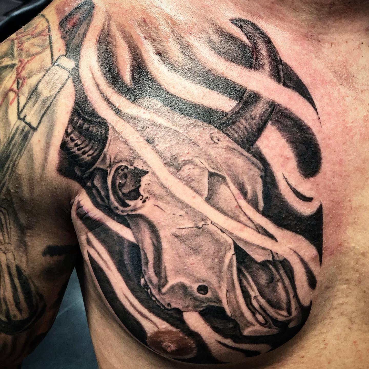 Bull skull realism tattoo on the chest by 𝕵𝖆𝖞 𝕽𝖎𝖟𝖟𝖔
