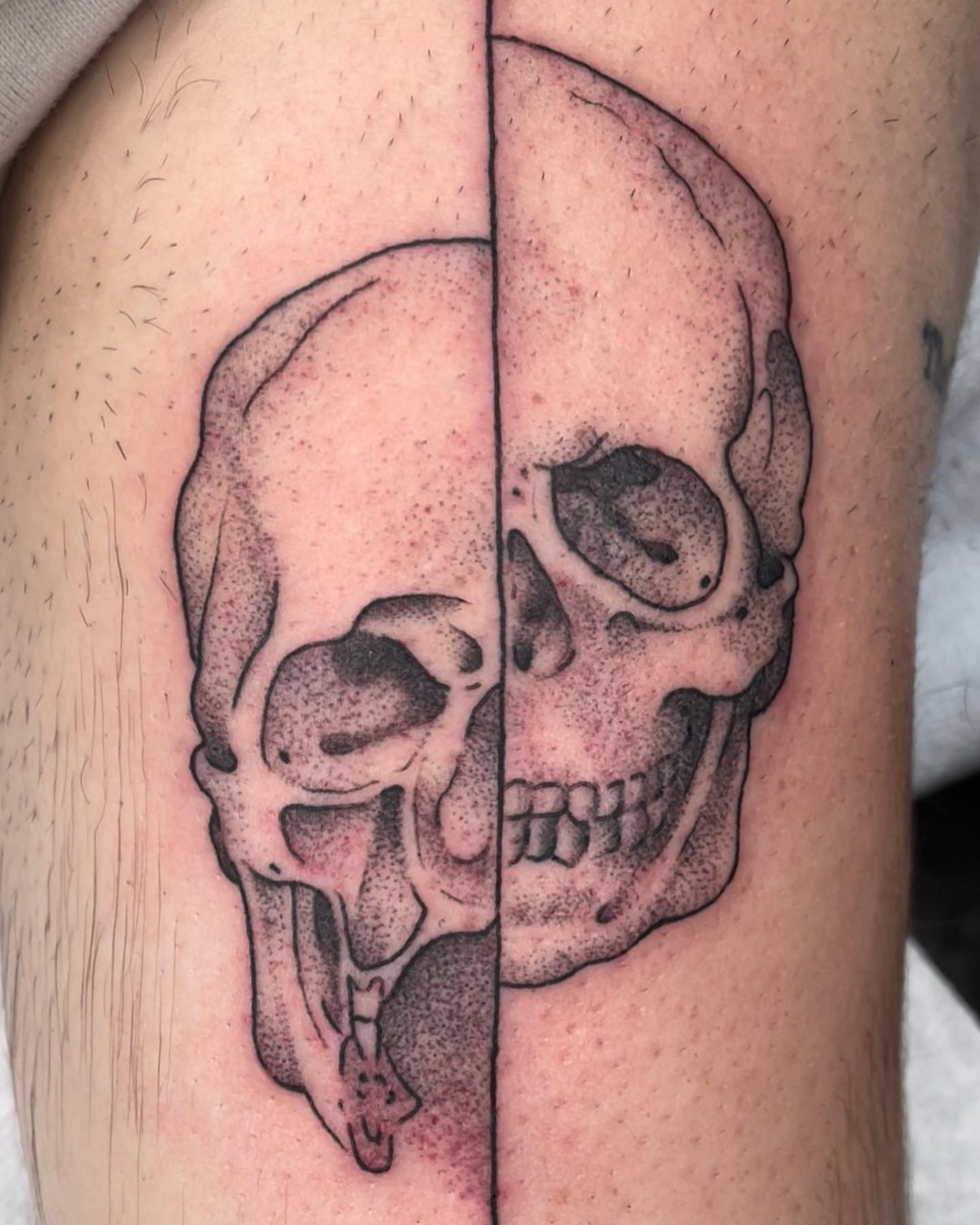 Tattoo by @firststepentropy — dotwork