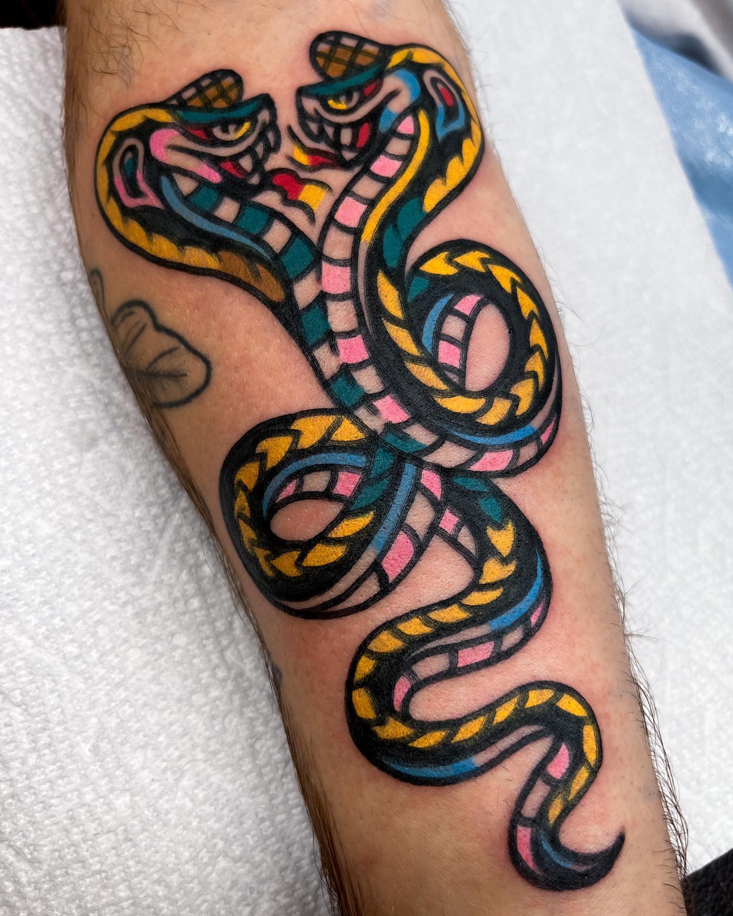 Snake American traditional tattoo on the forearm by Oldschool Tattooer Takii 타키
