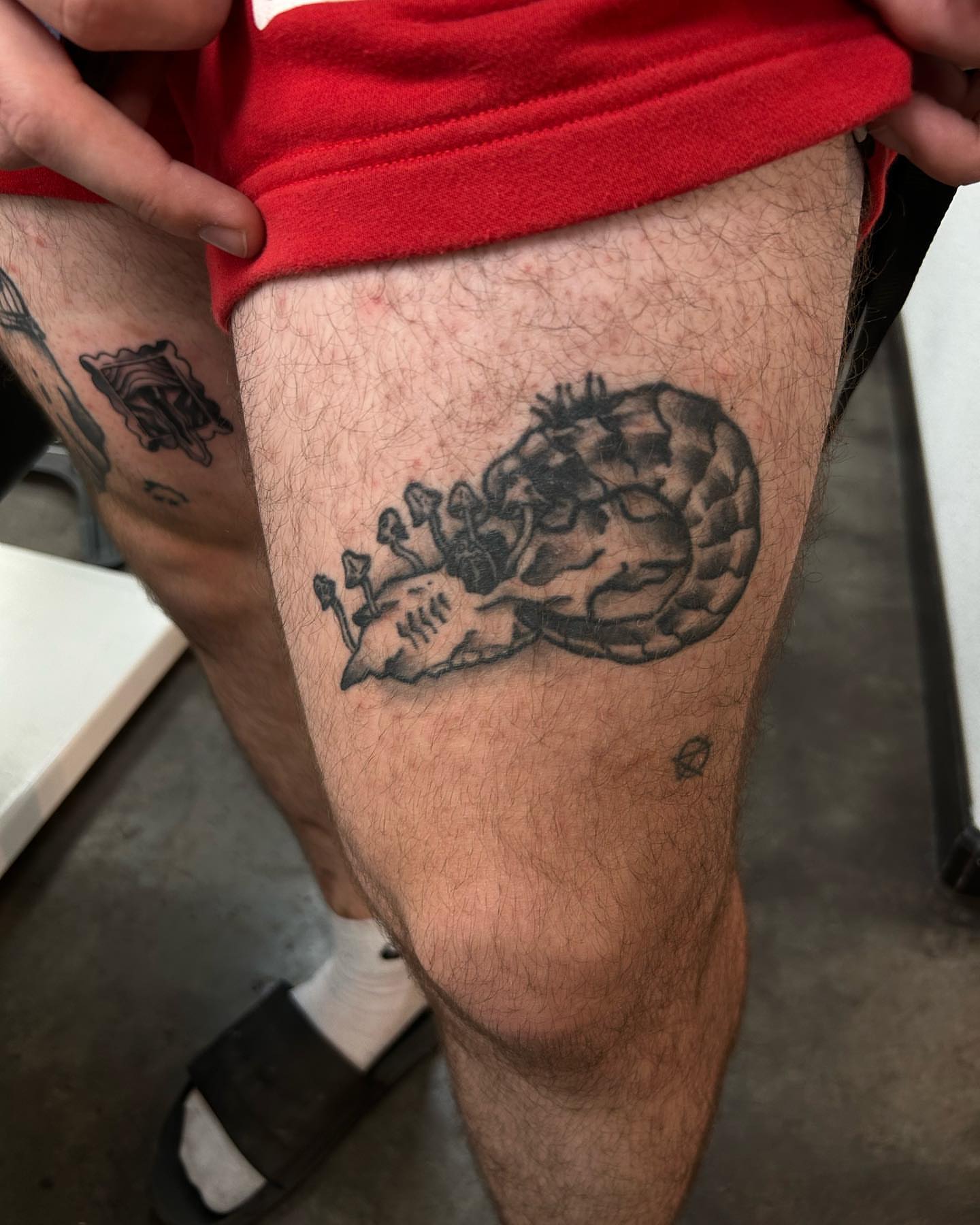 Turtle black and grey tattoo on the thigh by Ares Rhodes