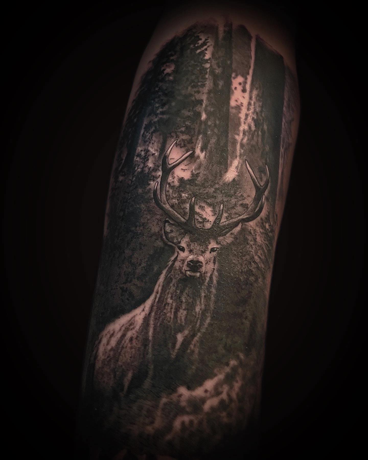 Tattoo by @niclunatattoo — realism, dark_realism