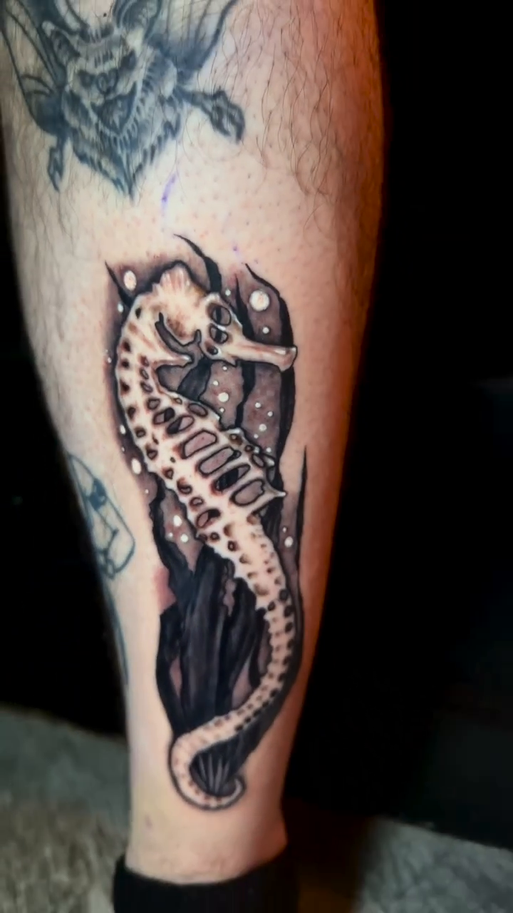Seahorse realism tattoo by 𝕸𝖊𝖌𝖆𝖓 𝕮𝖍𝖊𝖛𝖆𝖙𝖊𝖜𝖆🦇 Brooklyn Tattoo Artist