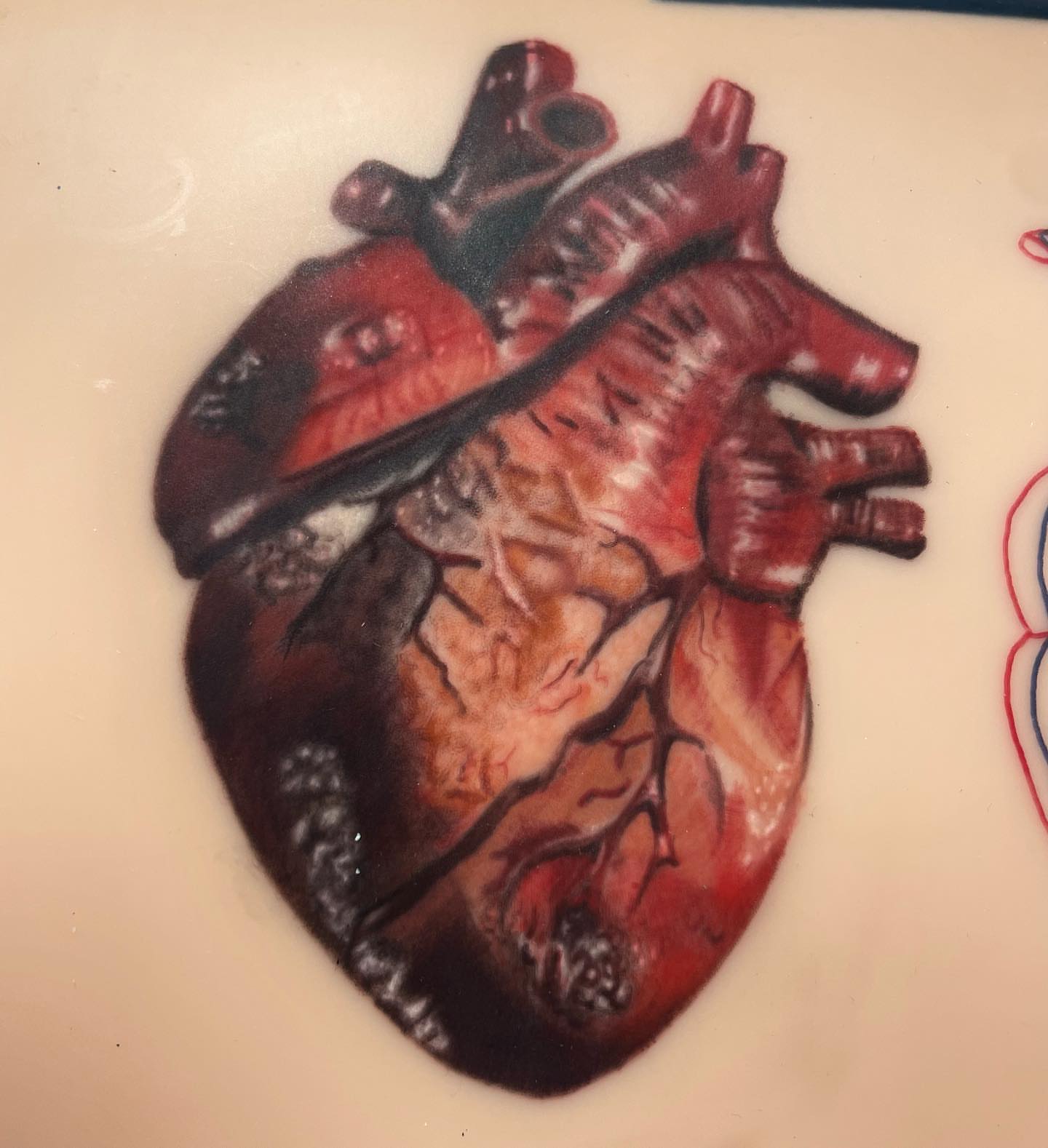 Tattoo by @beccactattoos — realism