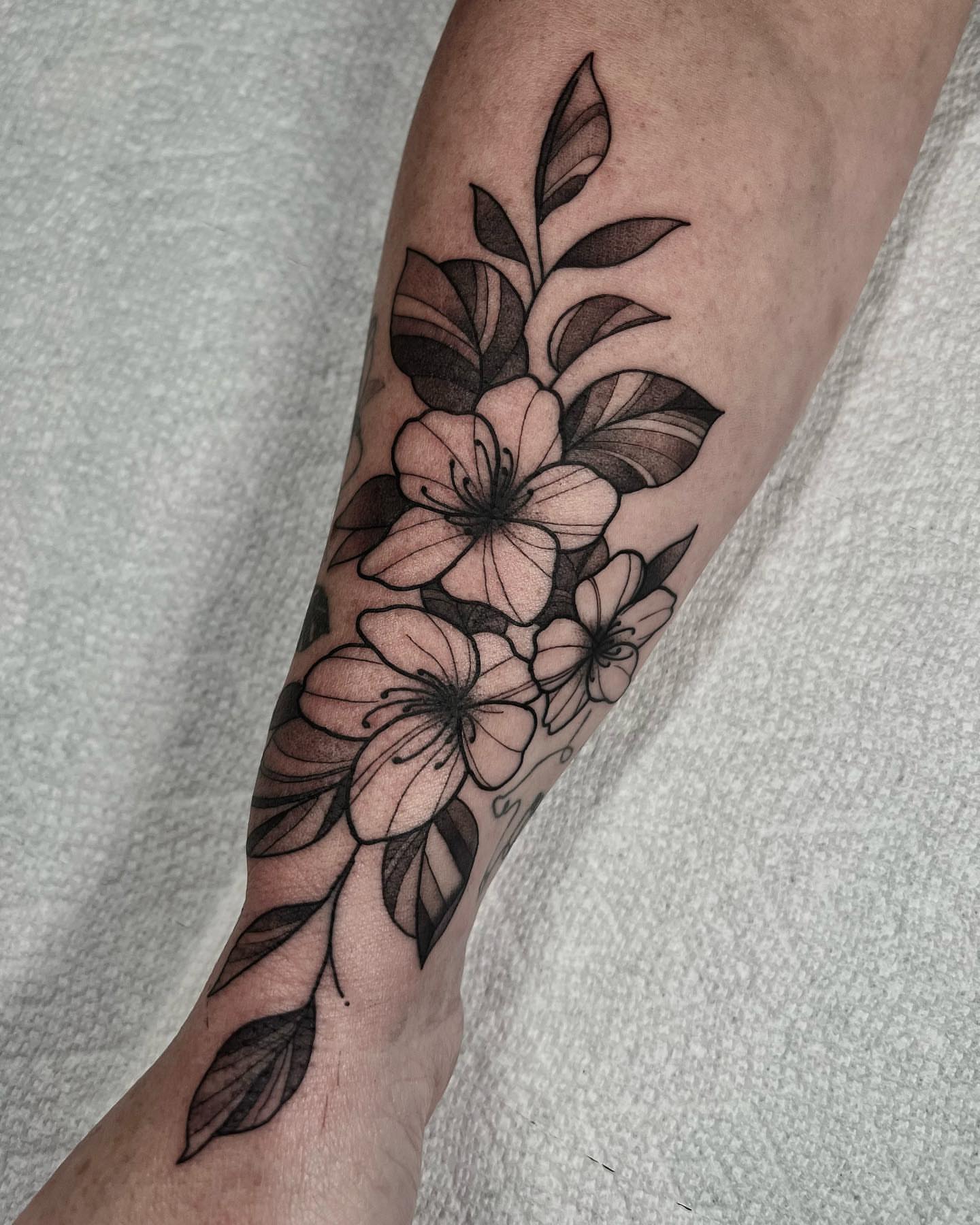 Cherry blossoms black and grey tattoo on the forearm by Chandler Roe