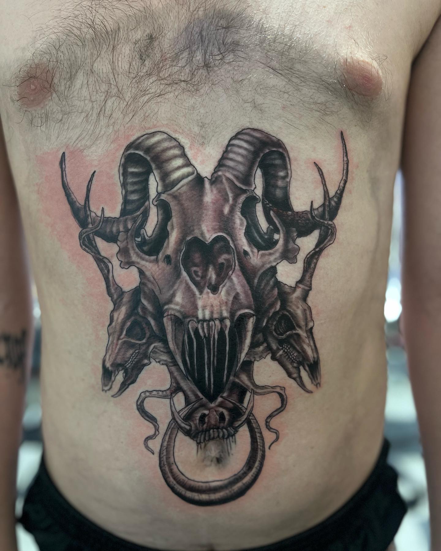 Ram skull dark realism tattoo on the ribs by Morgan Jones