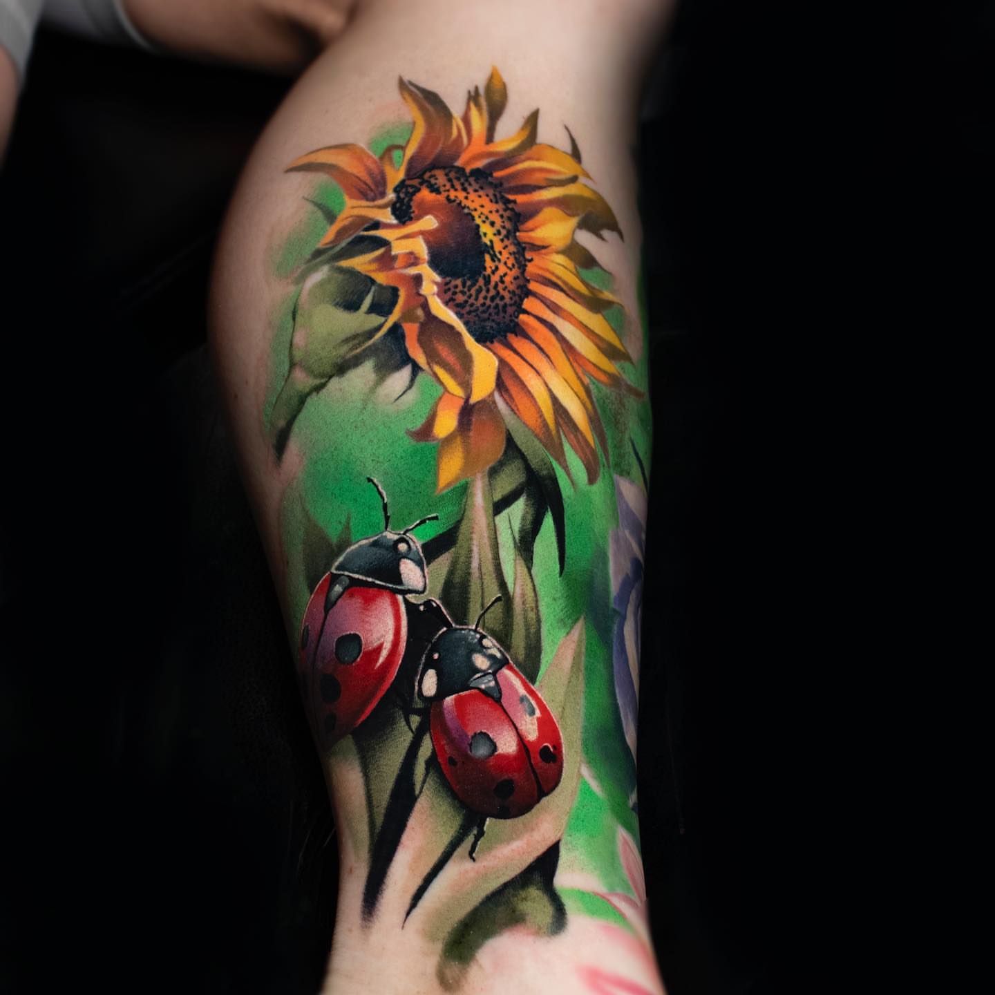 Sunflower and ladybugs realism tattoo on the forearm by Luke Benavidez