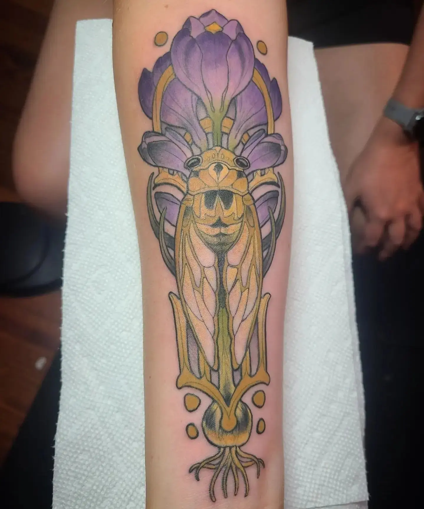 Cicada and flower new school tattoo on the forearm by Robert Kraiza - Philadelphia Tattoo Artist