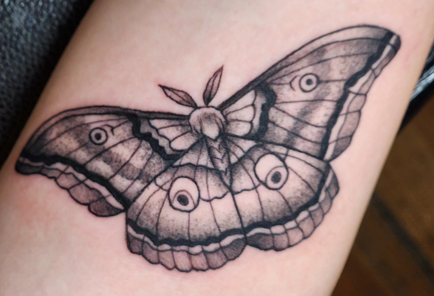 Moth black and grey tattoo on the forearm by Audrey Luther