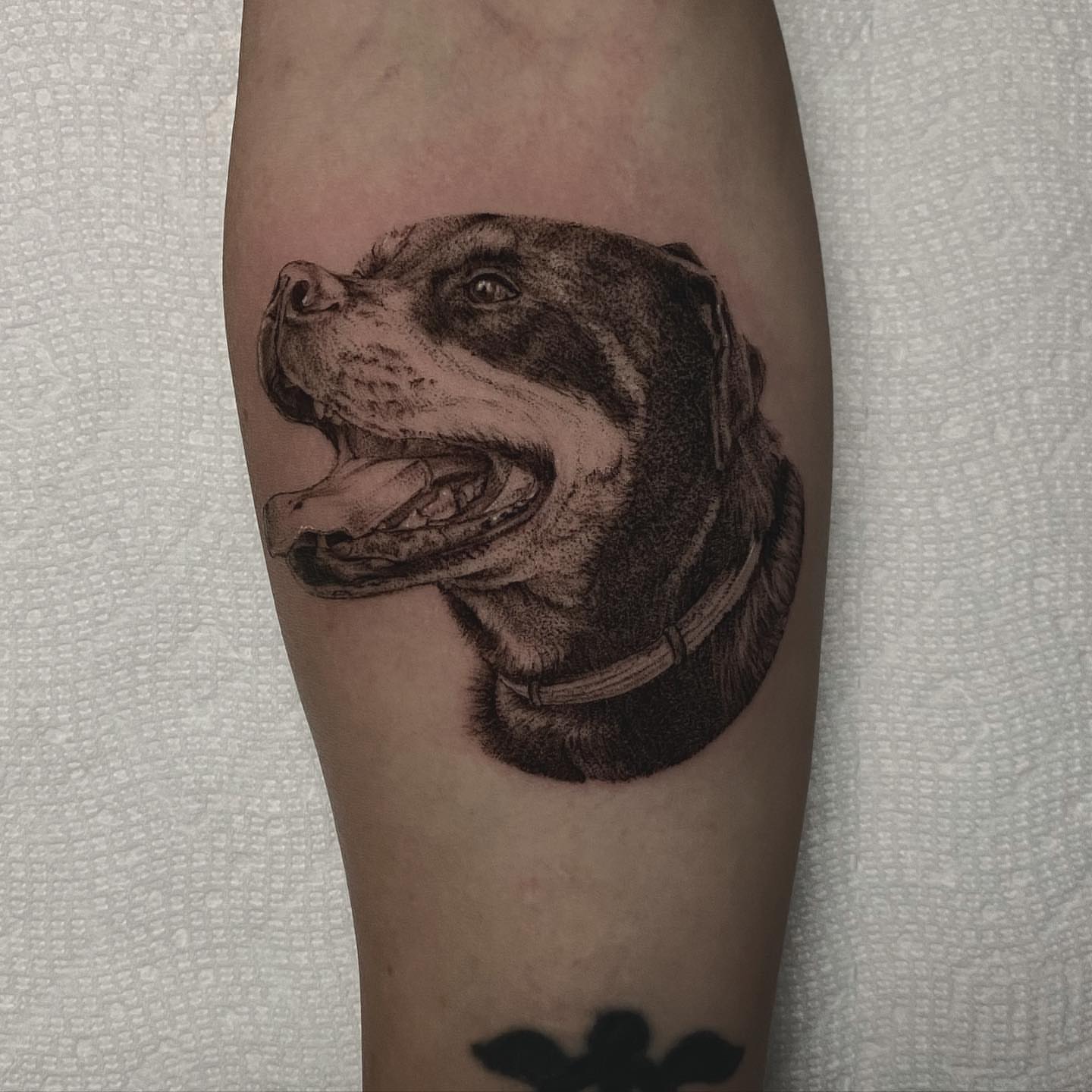 Dog dotwork tattoo on the forearm by Sydney Dixon, Sacramento, California