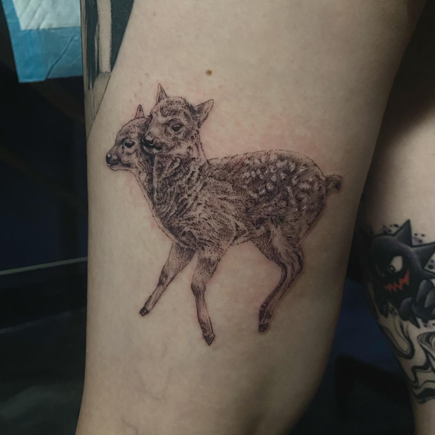 Deer dotwork tattoo on the forearm by Sydney Dixon, Sacramento, California