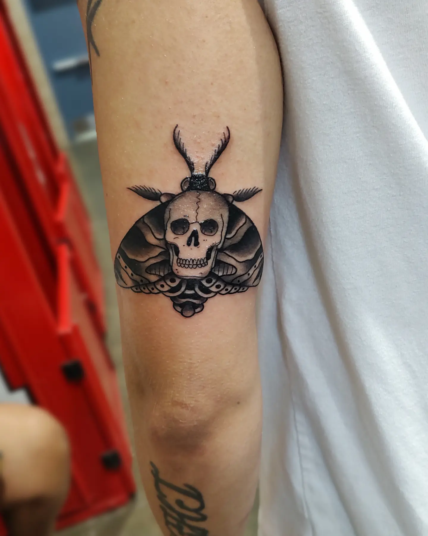Skull moth black and grey tattoo on the forearm by Herc