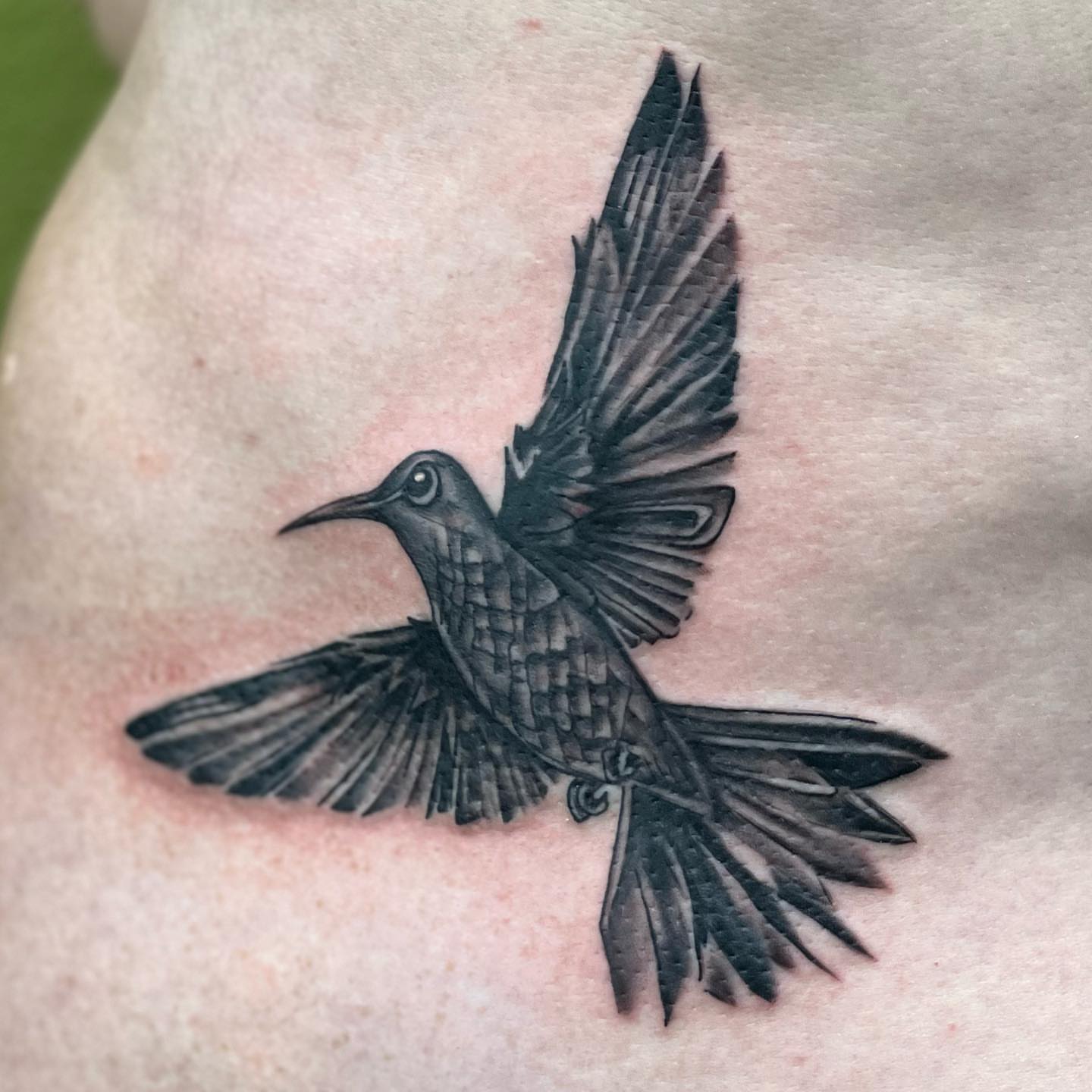 Bird realism tattoo on the chest by Chris Allen Taylor