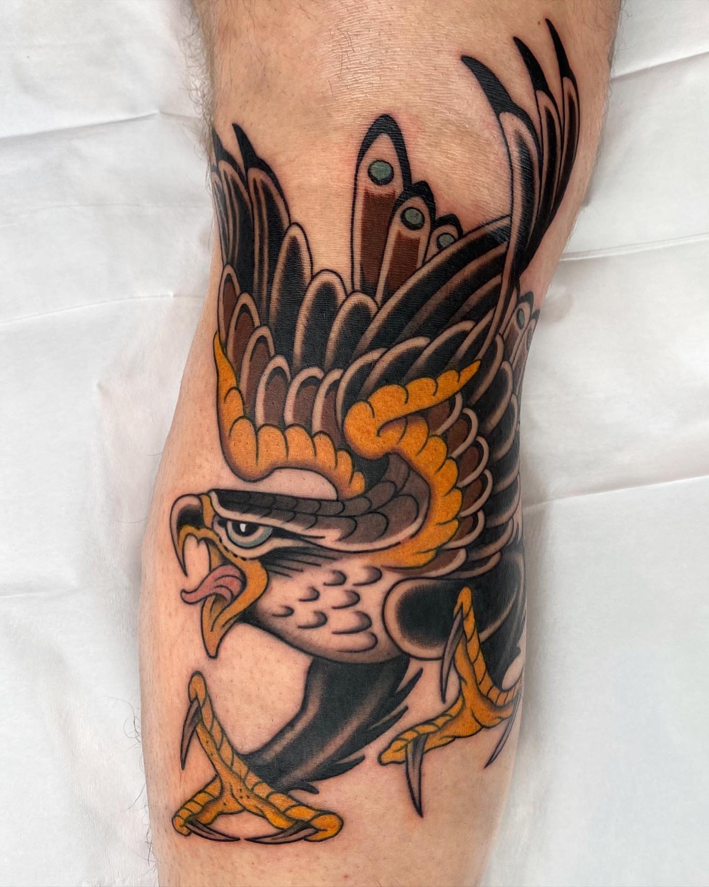 Hawk American traditional tattoo on the forearm by Wes Hoffman