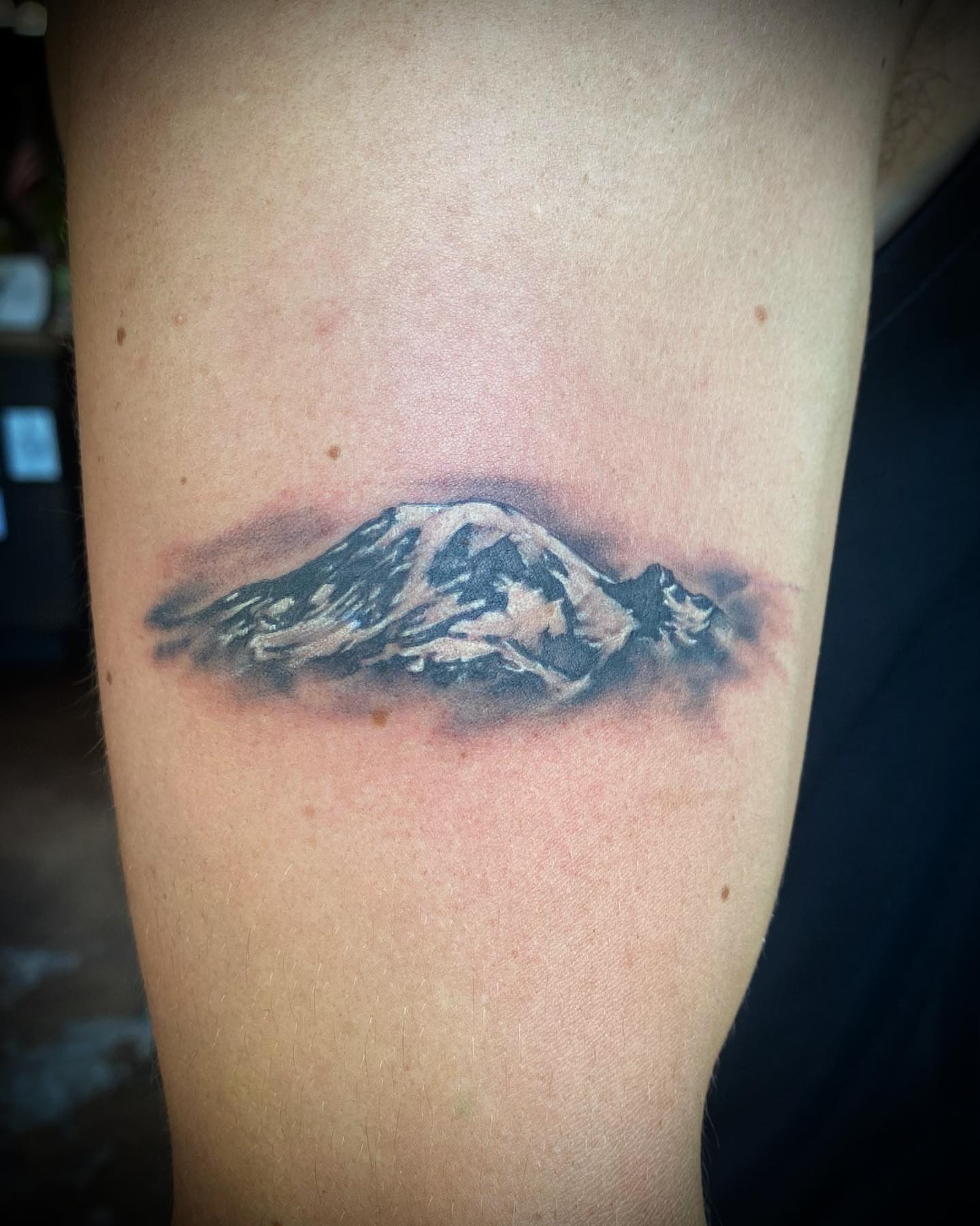 Tattoo by @xwoodlandcorex — black_and_grey