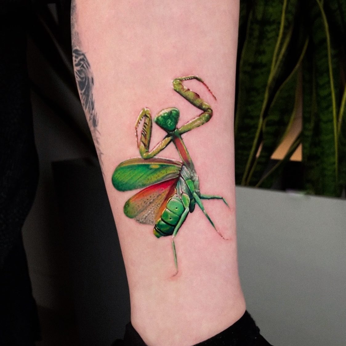 Praying mantis realism tattoo on the forearm by Aren