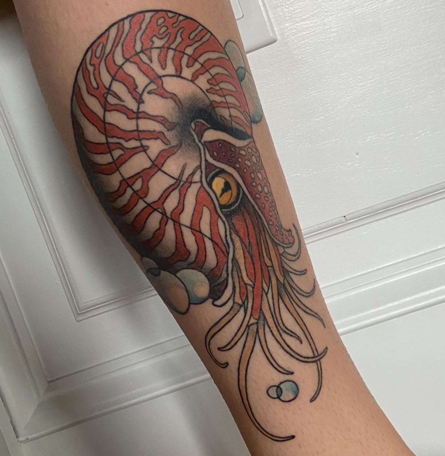 Squid realism tattoo on the forearm by Alicia
