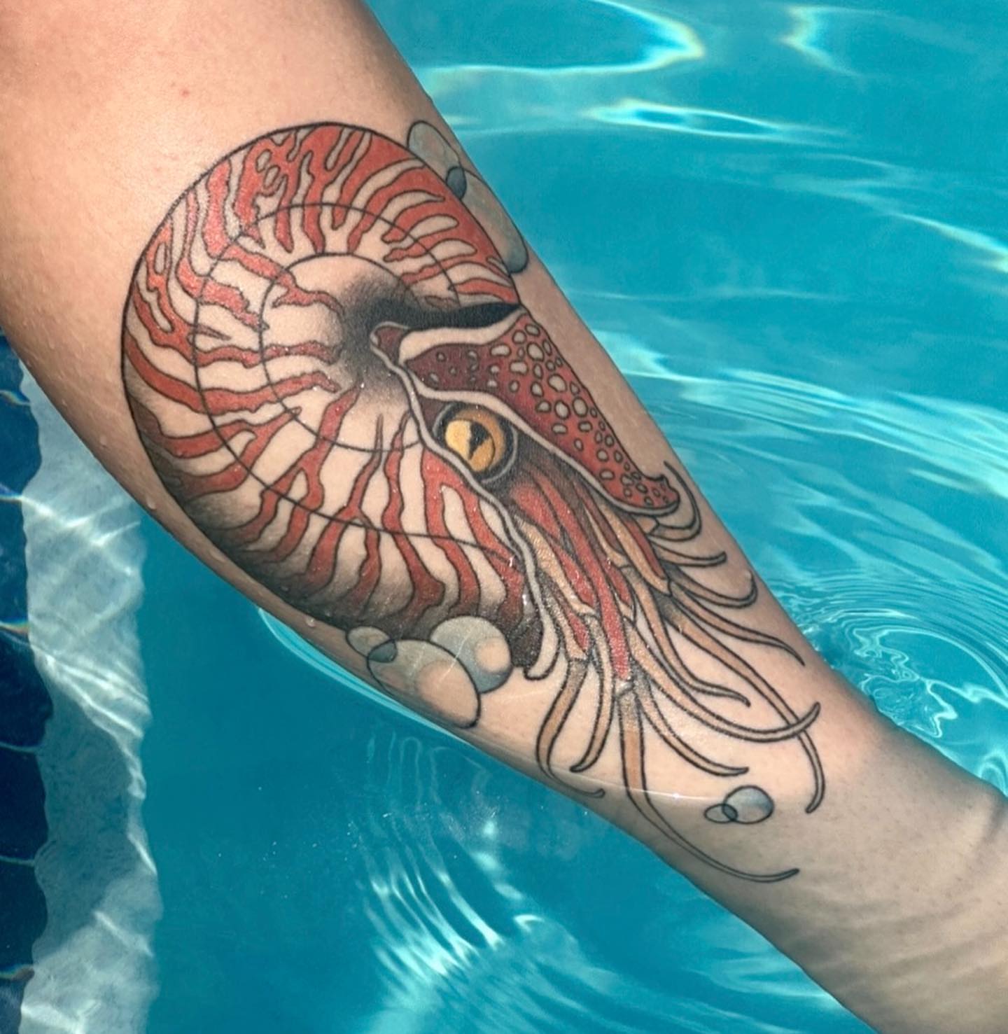 Squid realism tattoo on the forearm by Alicia