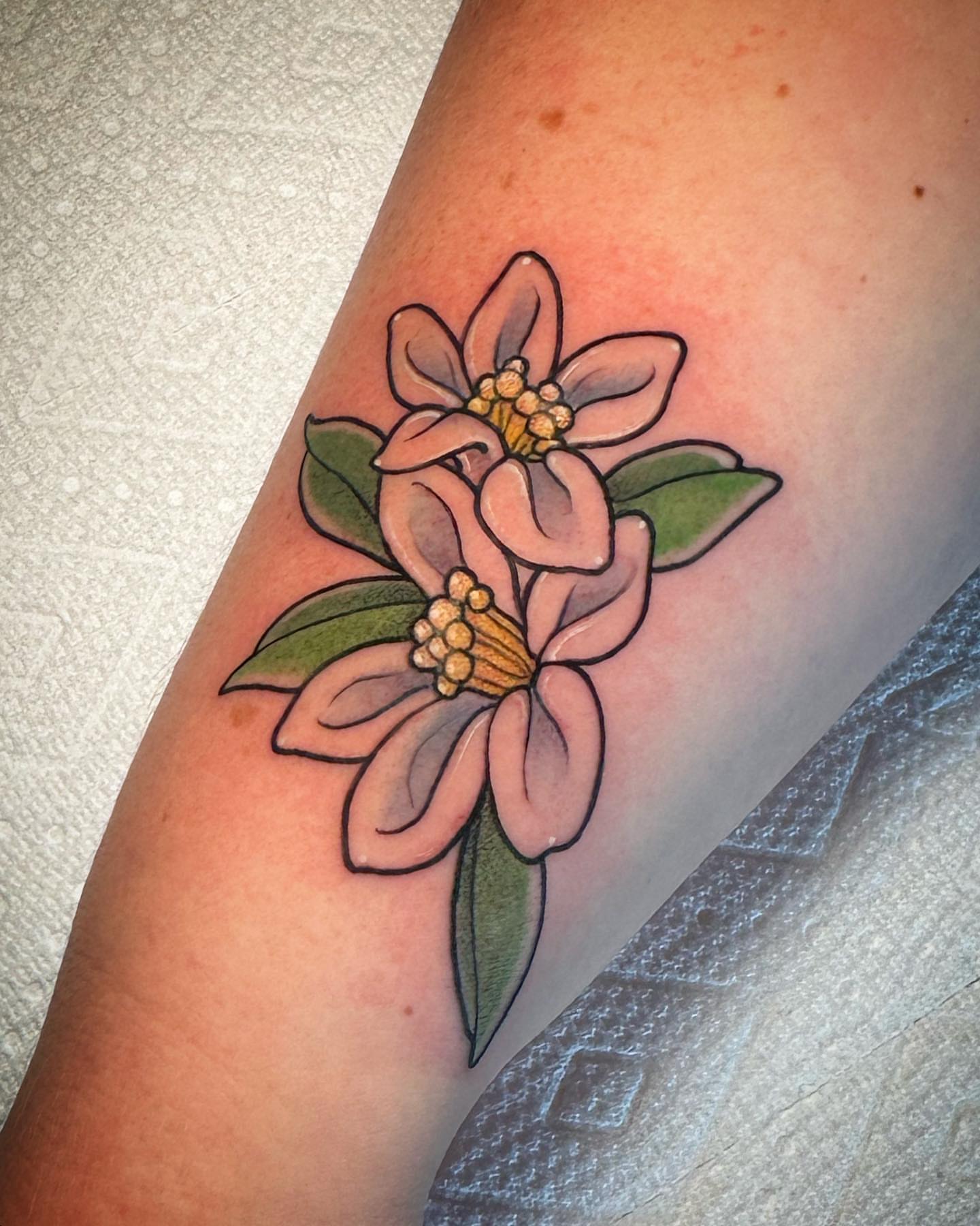 Orange blossoms American traditional tattoo on the forearm by Tayler Pearson, Fort Collins, Colorado