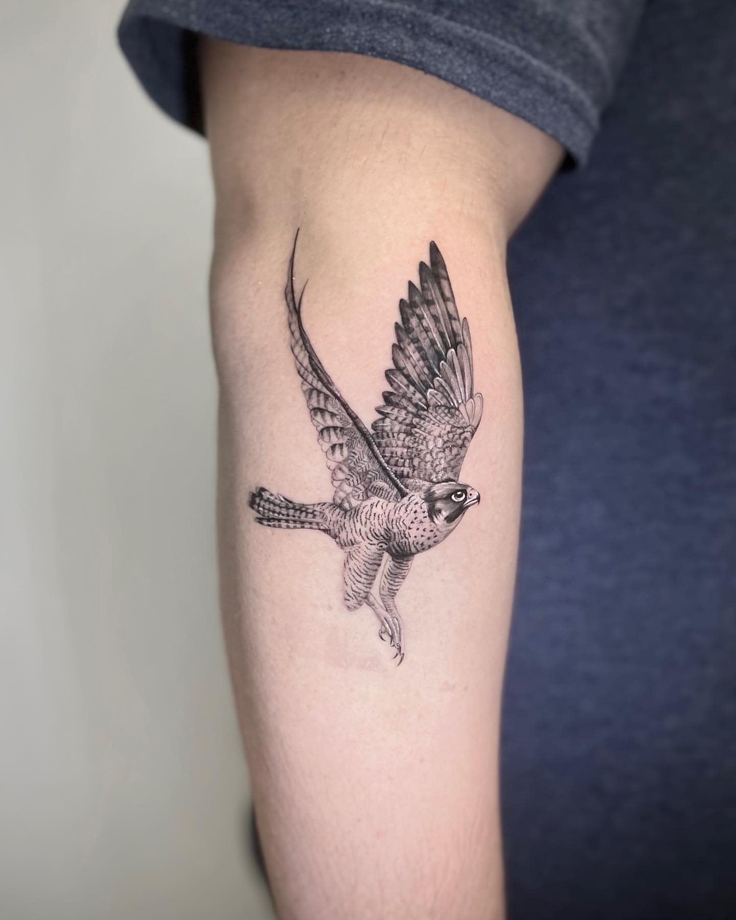 Falcon black and grey tattoo on the forearm by Nana