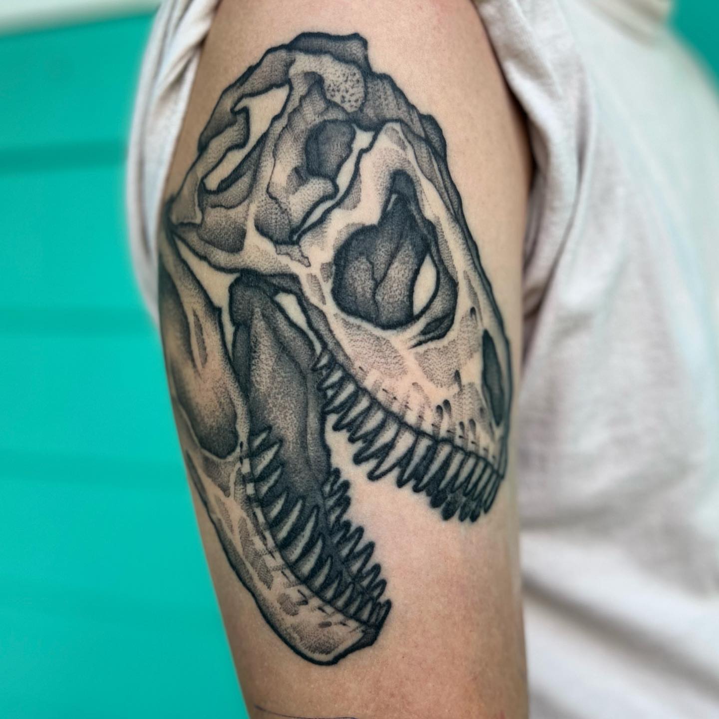 Dinosaur skull black and grey tattoo on the forearm by 匚卂ㄒ乙丨ㄥㄥ卂