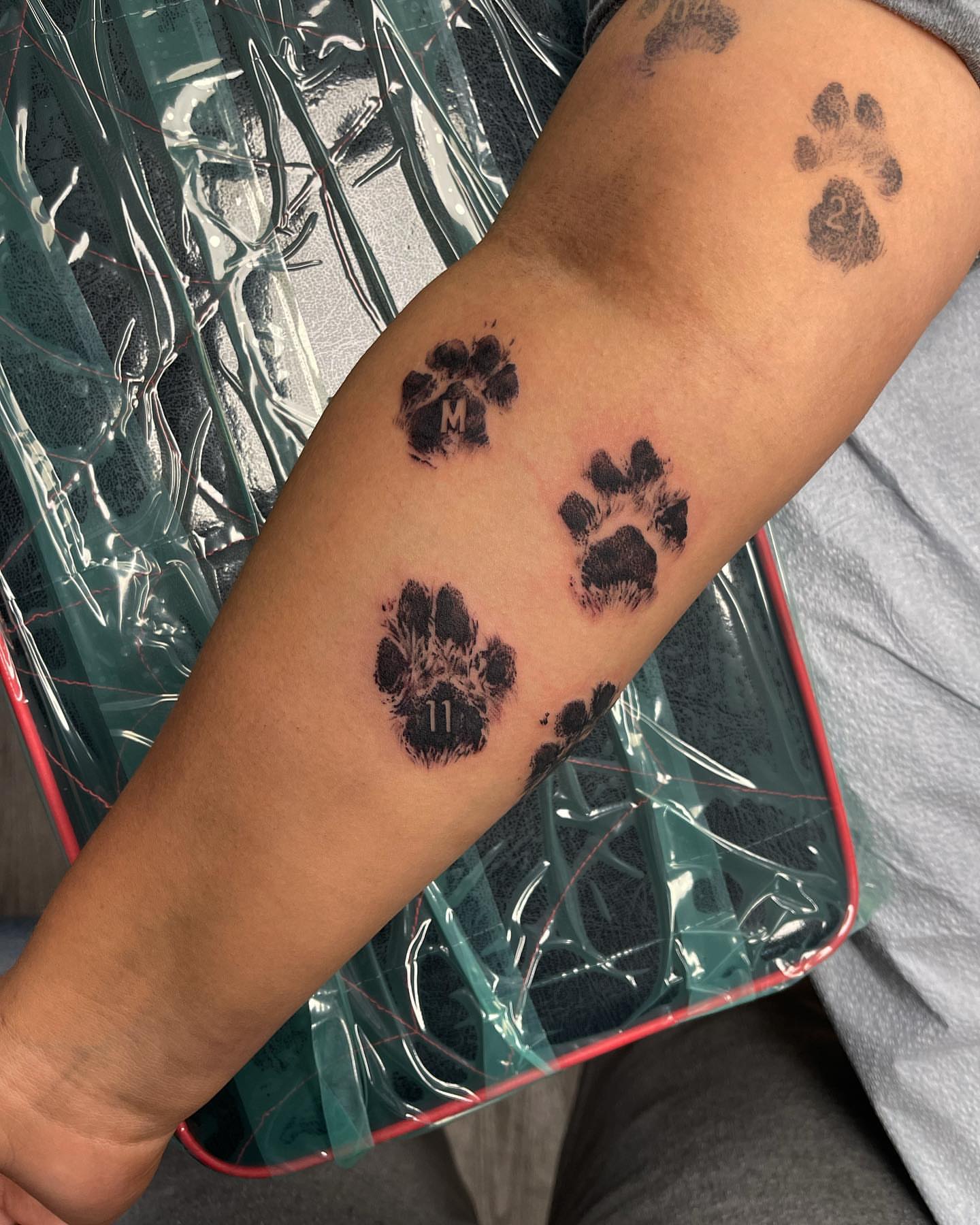 Paw prints black and grey tattoo on the forearm by Carla V