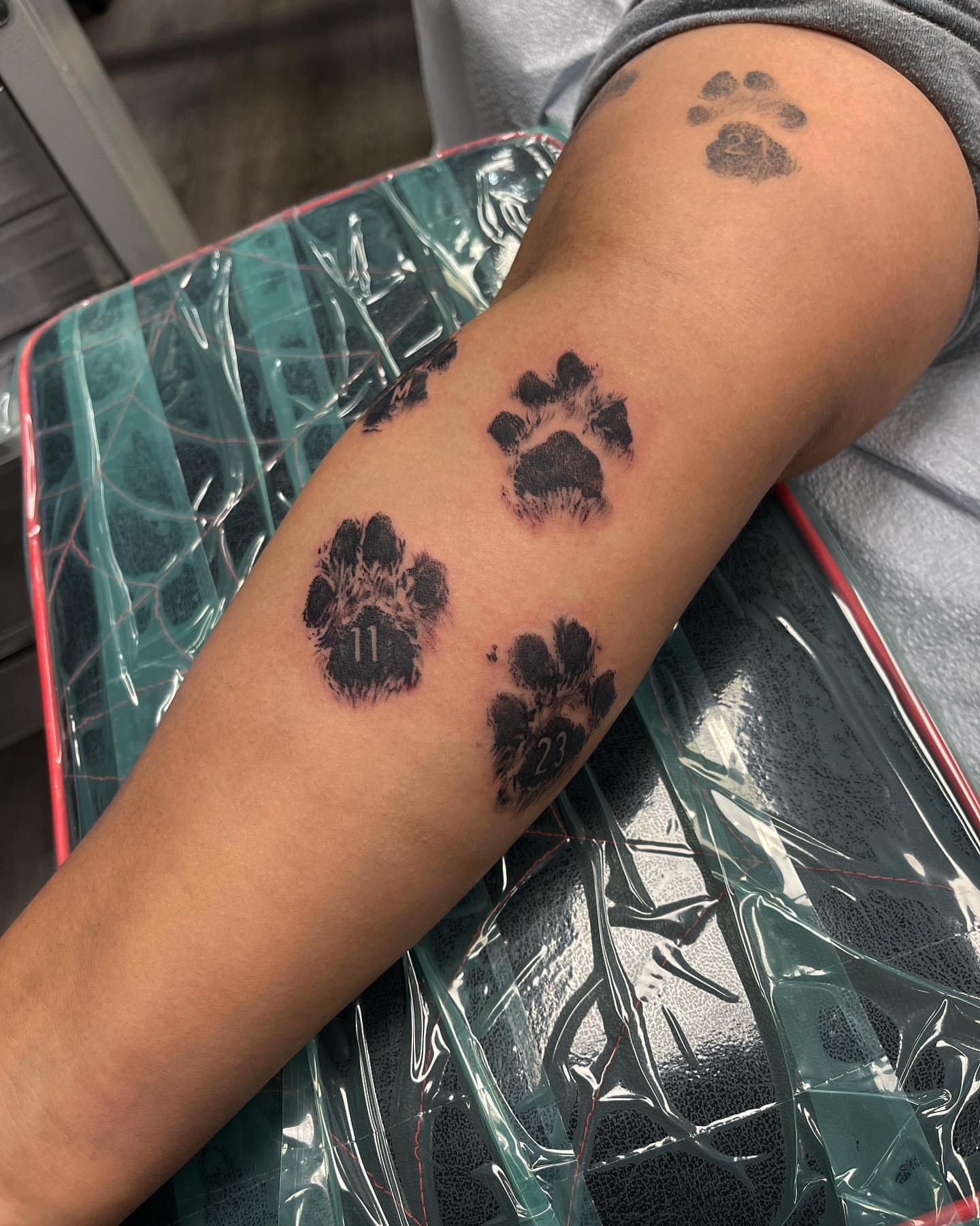 Paw prints black and grey tattoo on the forearm by Carla V