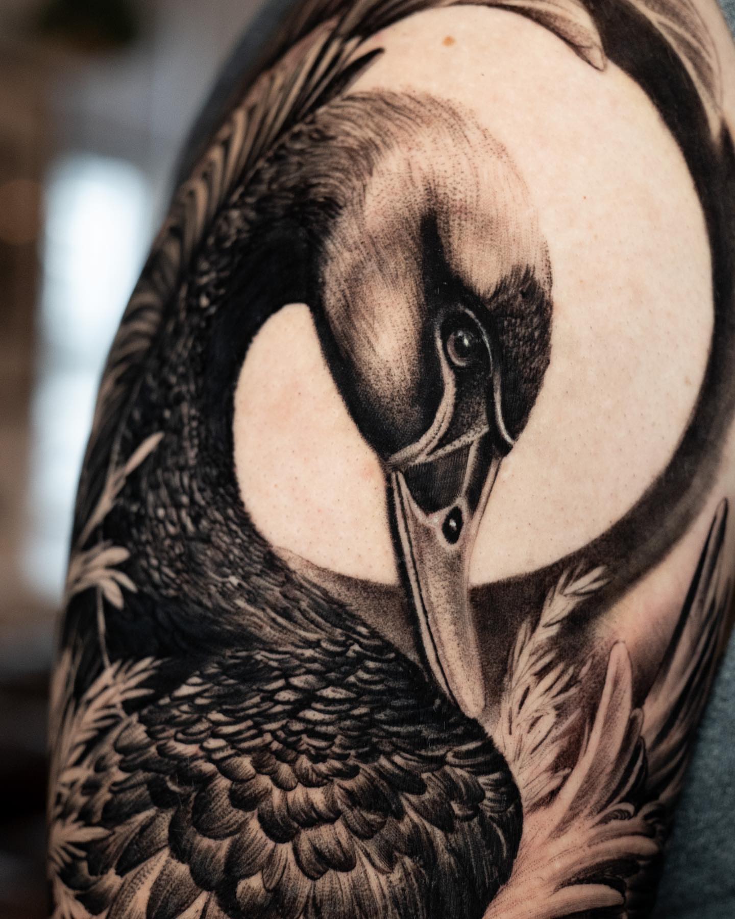 Goose realism tattoo on the upper arm by Andres Acevedo, Denver, Colorado