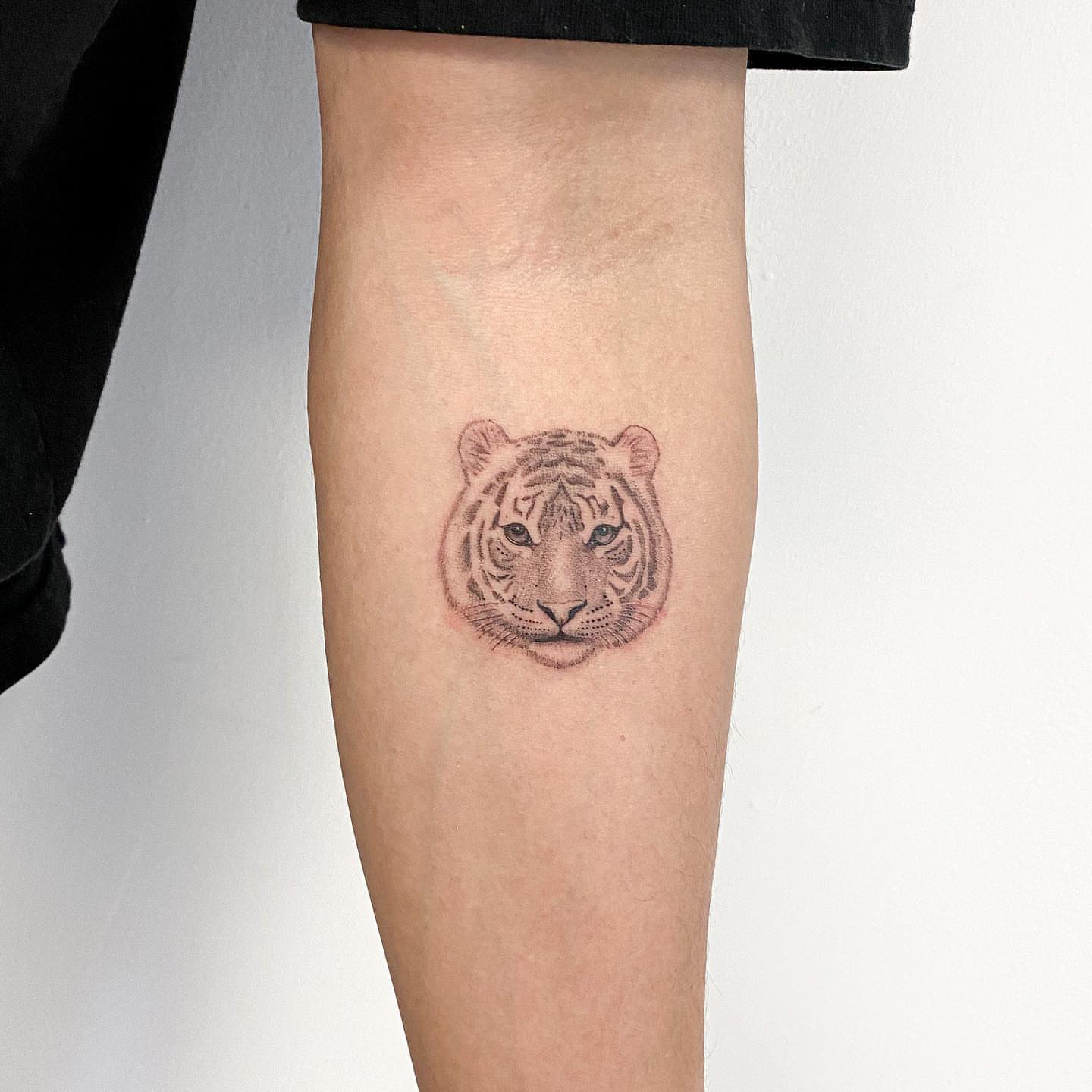 Tiger realism tattoo on the forearm by INK by CEE