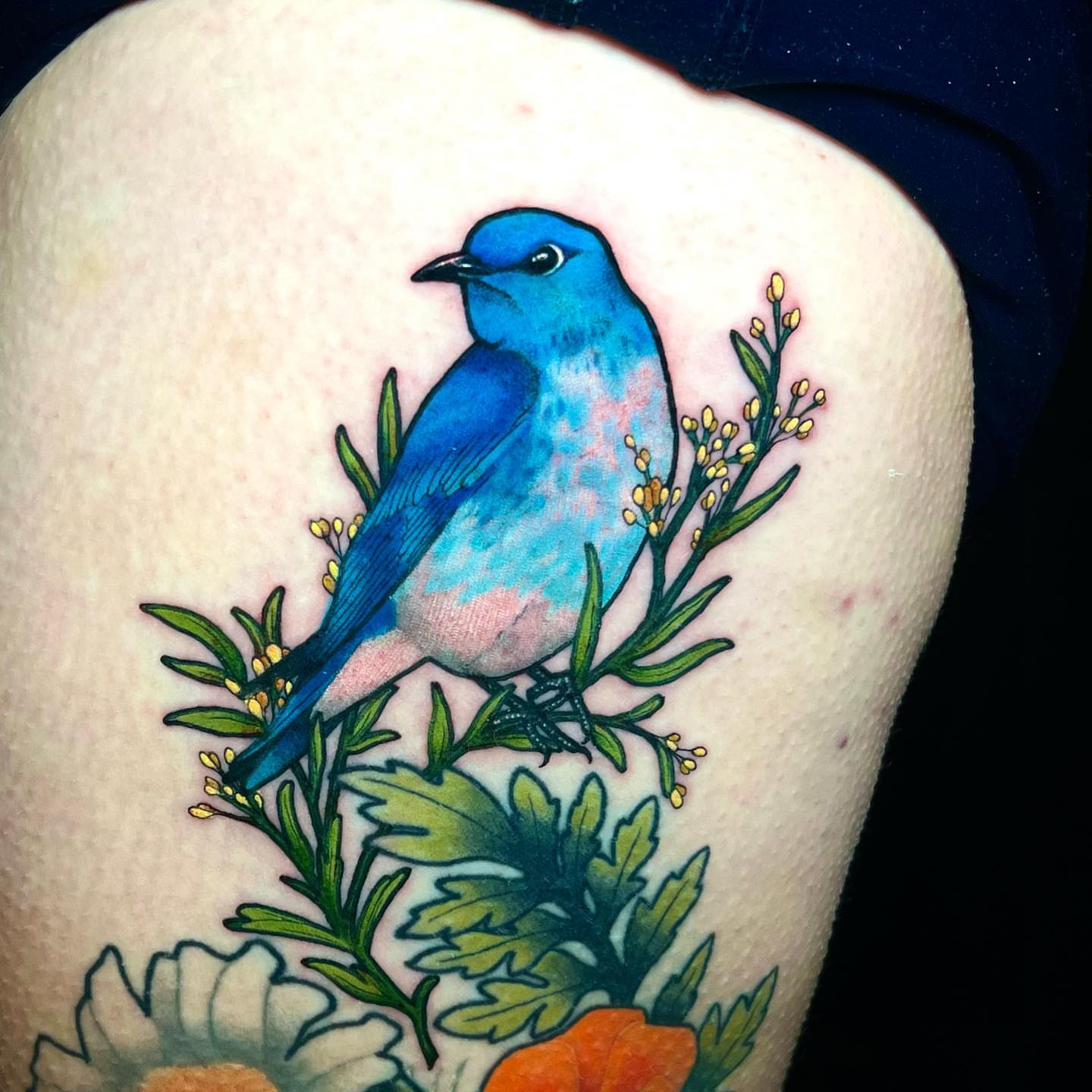 Bluebird realism tattoo on the thigh by Pam Sanders