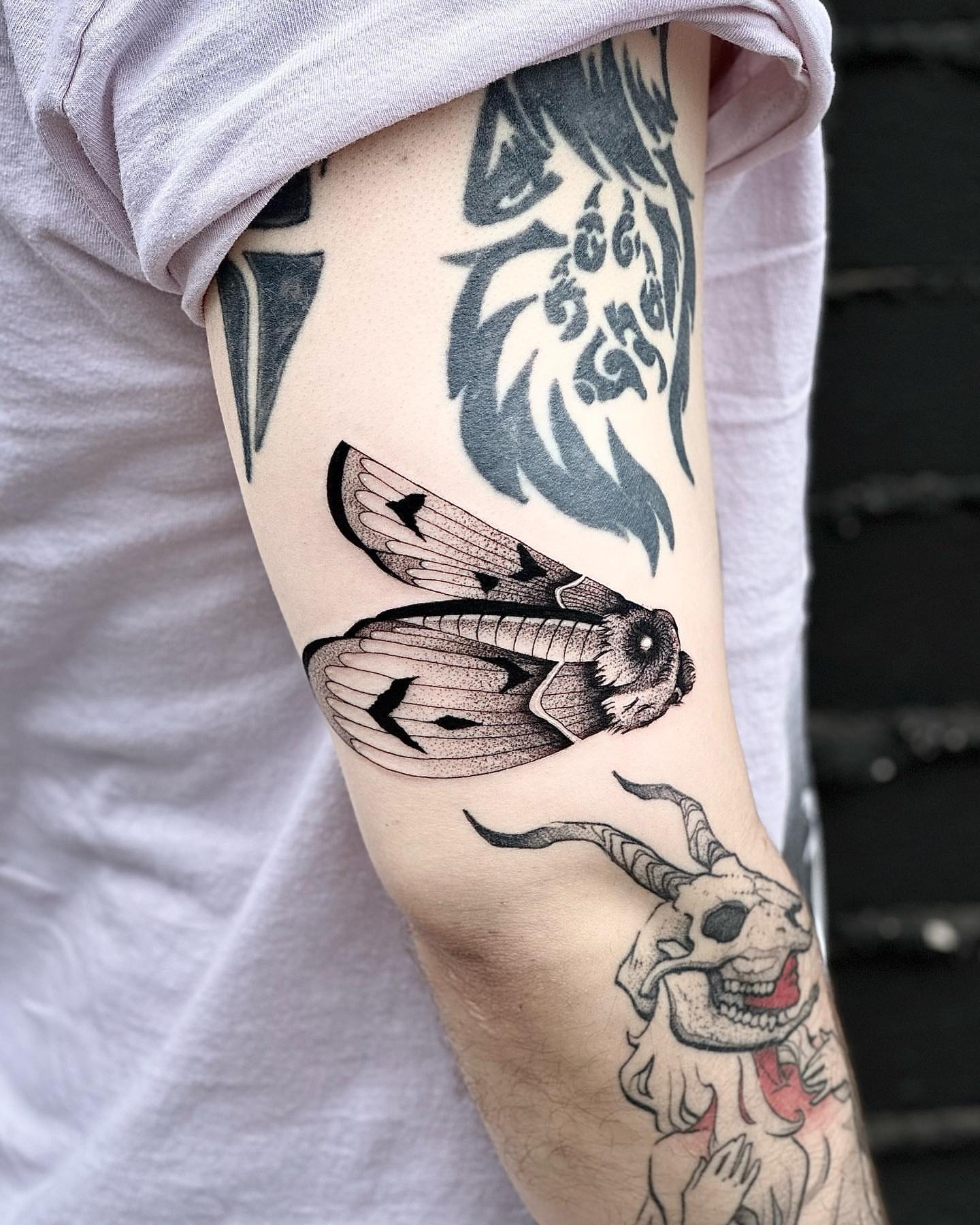 Moth dotwork tattoo on the forearm by Fine line tattoo San Diego, San Diego, California