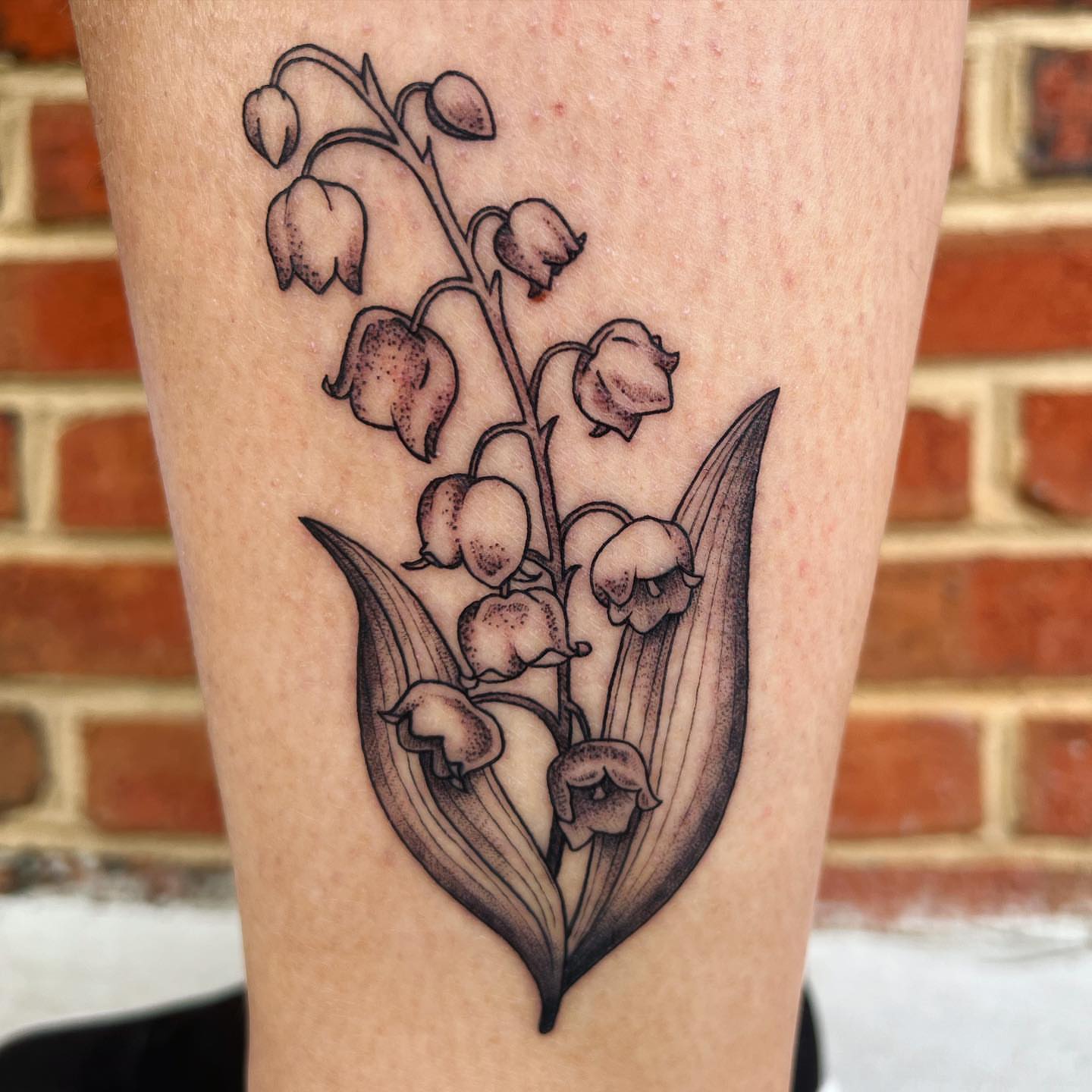 Lily of the valley dotwork tattoo on the forearm by Abbi