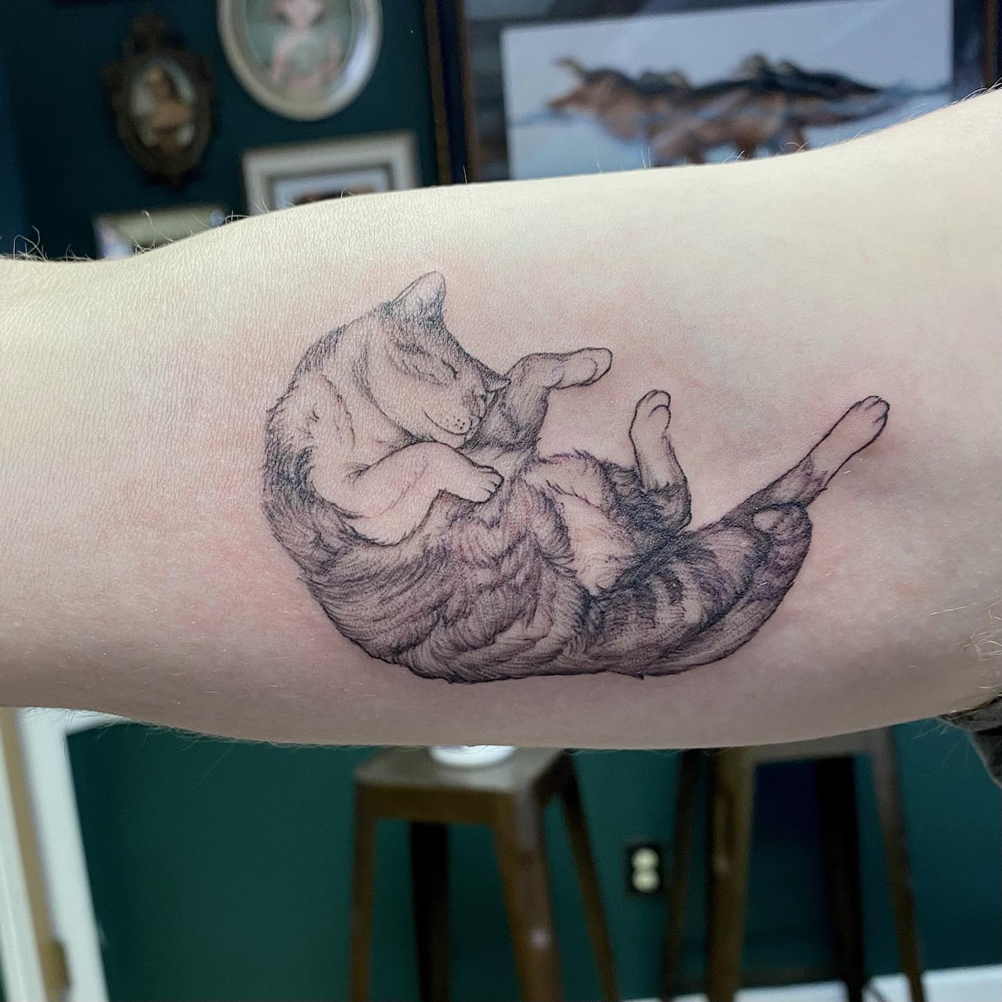 Cat realism tattoo on the forearm by Emily Conner