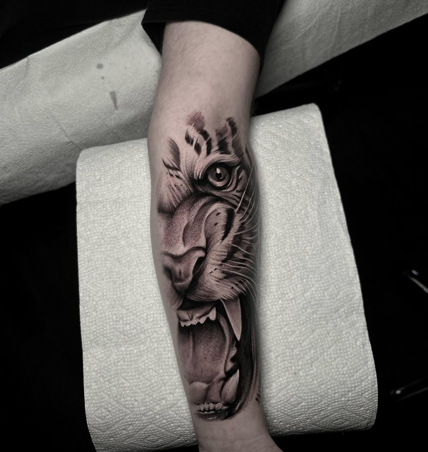 Tiger realism tattoo on the forearm by Rawb