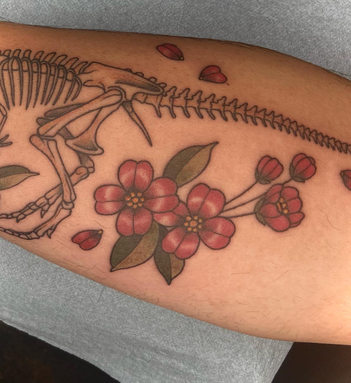 Cherry blossom and skull American traditional tattoo on the forearm by Luna