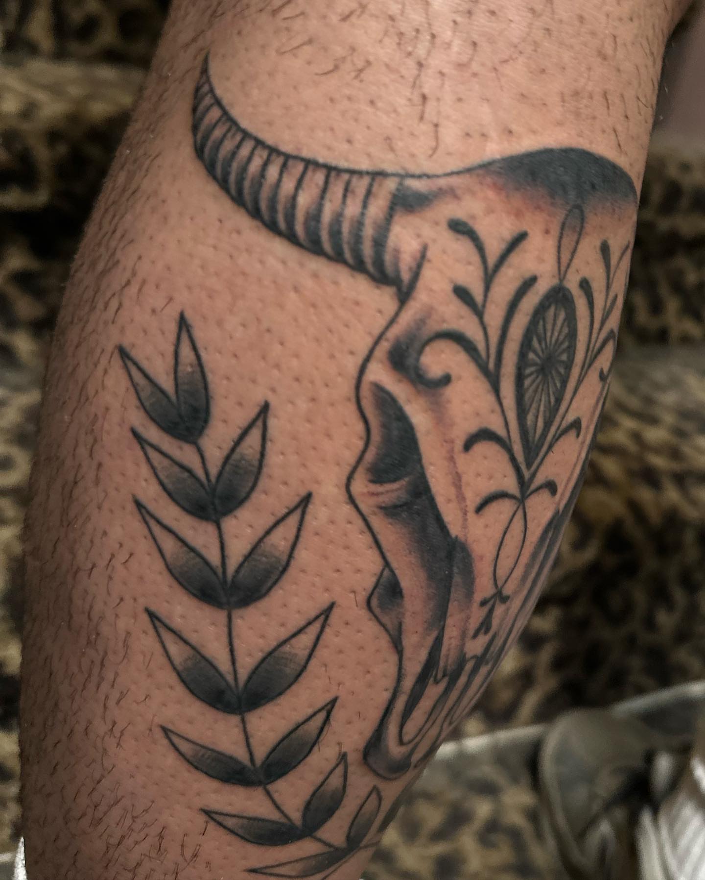 Bull skull and leaves black and grey tattoo on the forearm by Savy Rasor, Austin, Texas