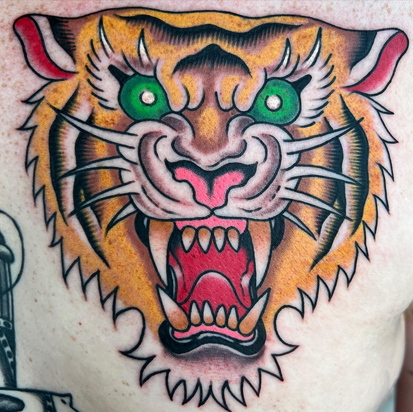 Tiger American traditional tattoo on the chest by Daniel Mesen