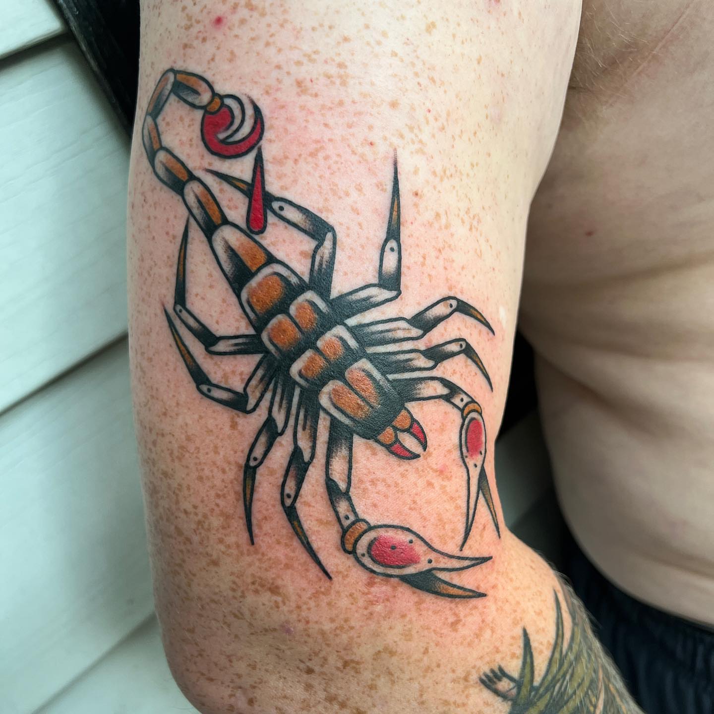 Scorpion American traditional tattoo on the forearm by Daniel Mesen