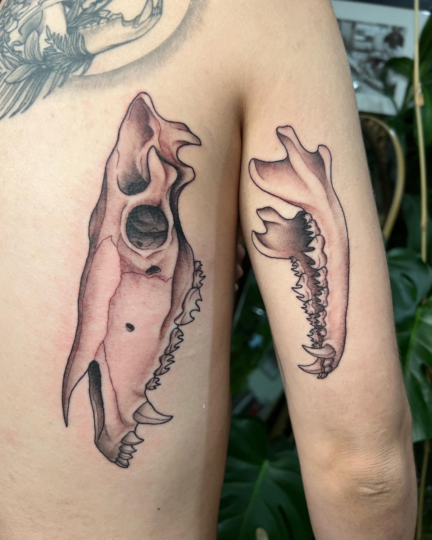 Bone structure black and grey tattoo on the upper arm by Mia Manzanedo