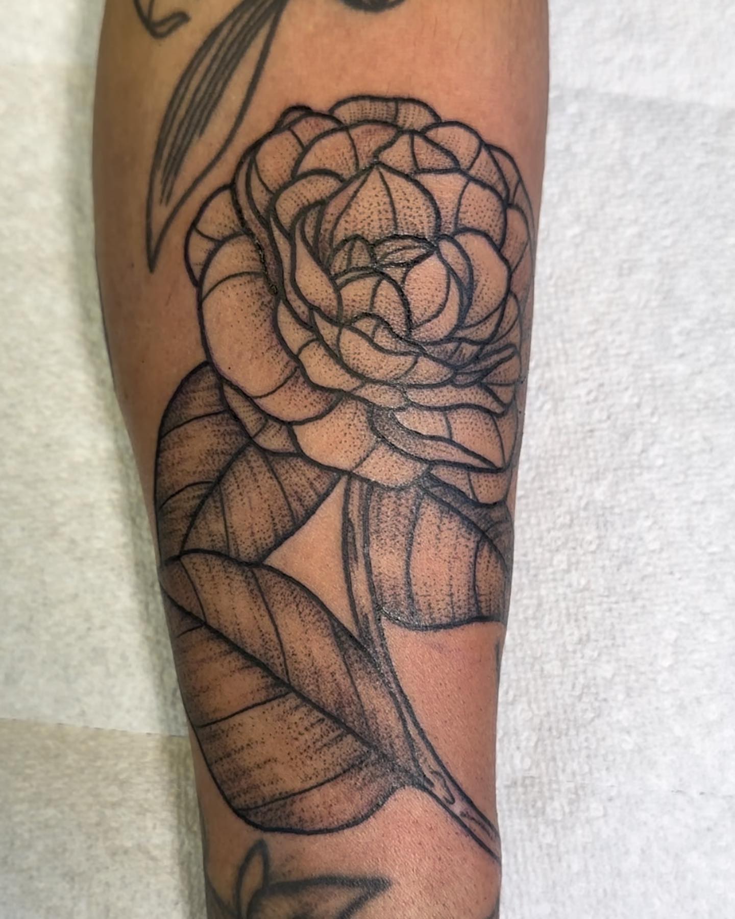 Tattoo by @savannahleetattoos — dotwork, black_and_grey