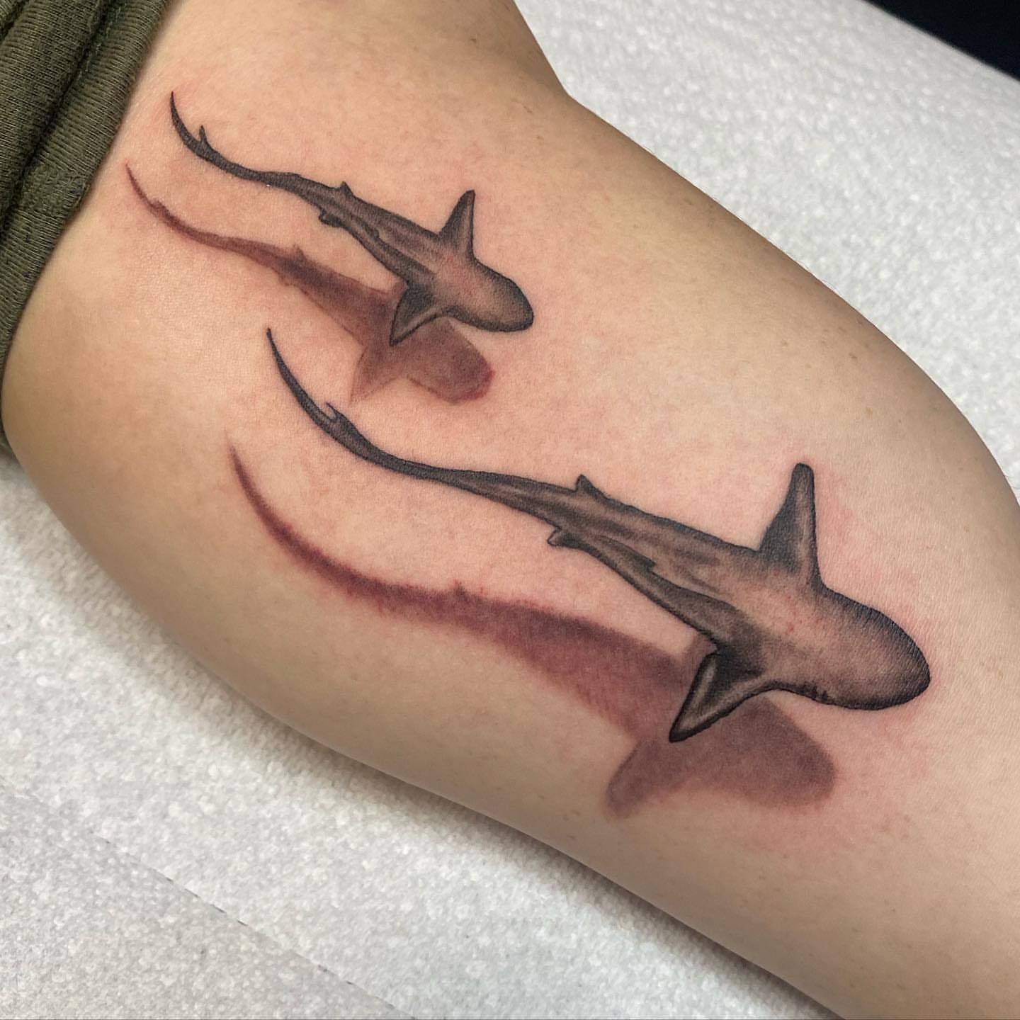 Sharks realism tattoo on the forearm by Anthony Pichardo 🦇