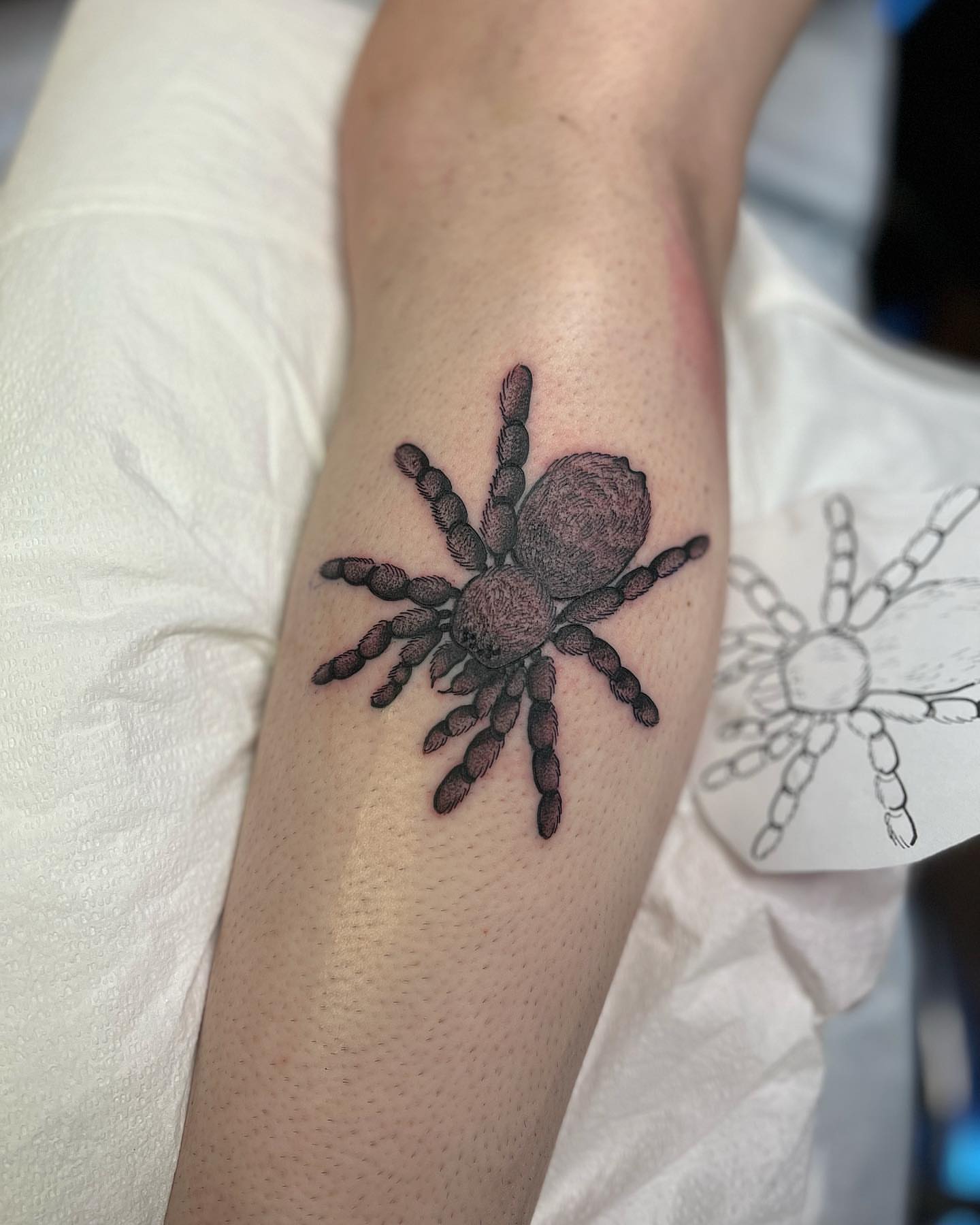 Spider black and grey tattoo on the forearm by Daniel Patrick