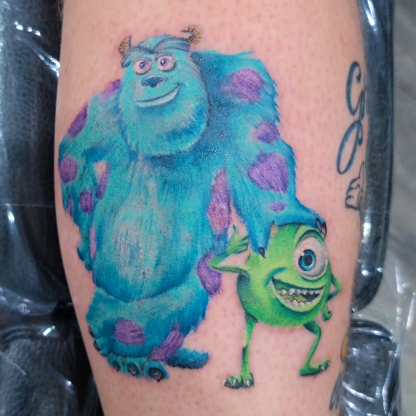 Sully and mike wazowski realism tattoo on the forearm by Dick Eckman