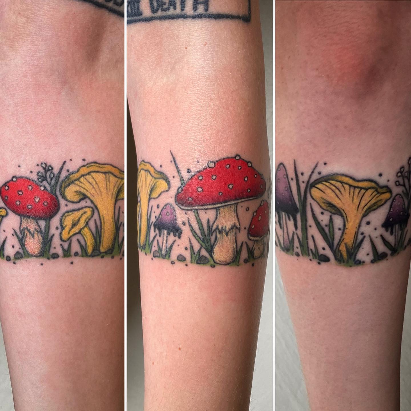 Mushroom dotwork tattoo on the forearm by โจ๐๐๐ฑ๐ฑ๐ฌ๐ฌ๐ฐ ๐๐ถ ๐๐ฏ๐ฆ๐ซโจ